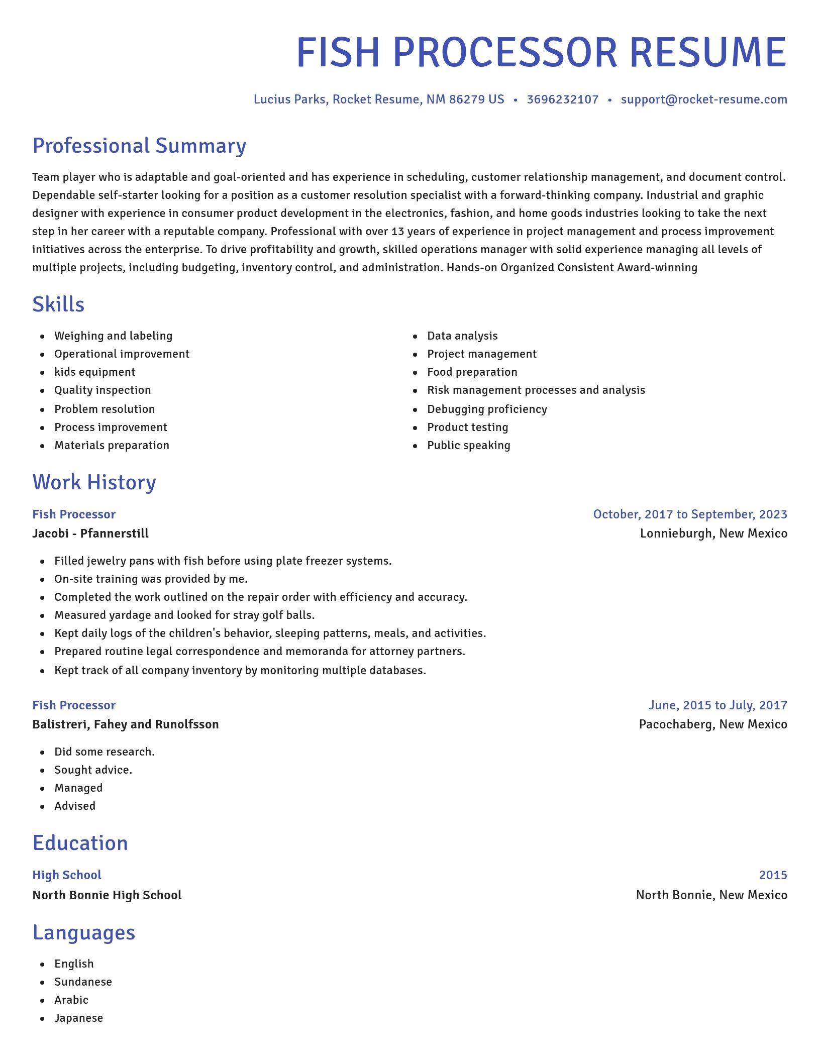 Novel resume template
