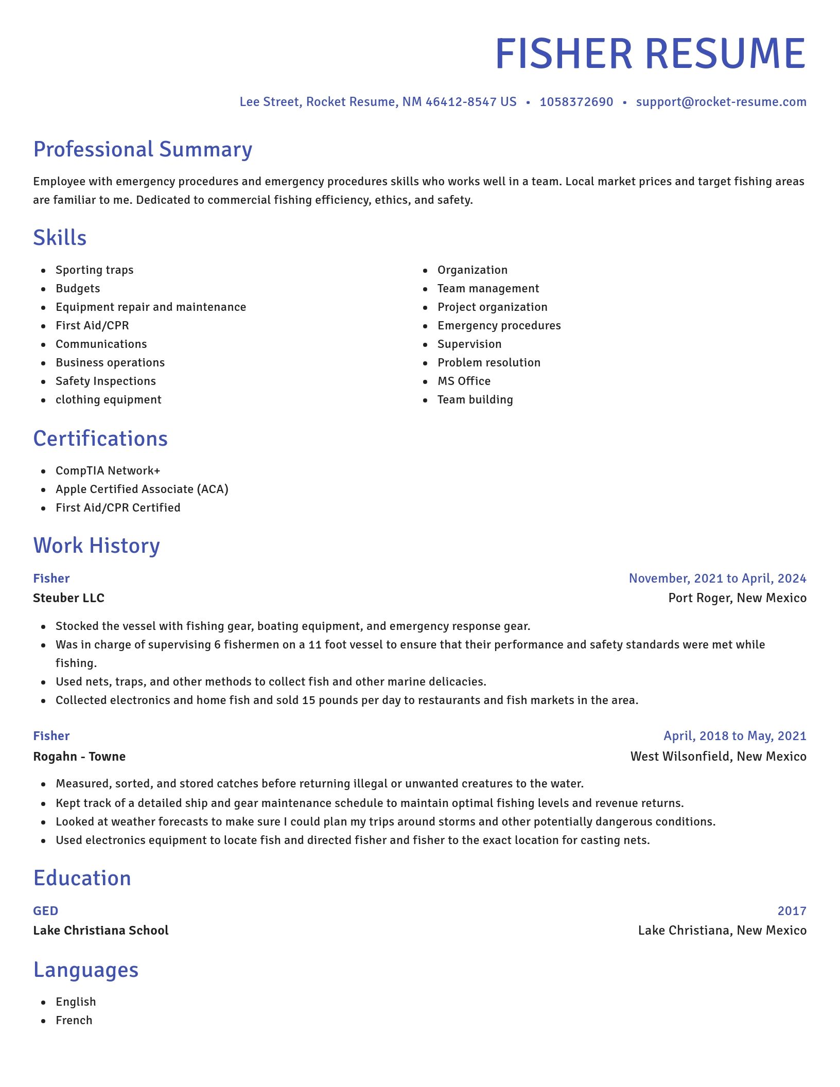 Novel resume template