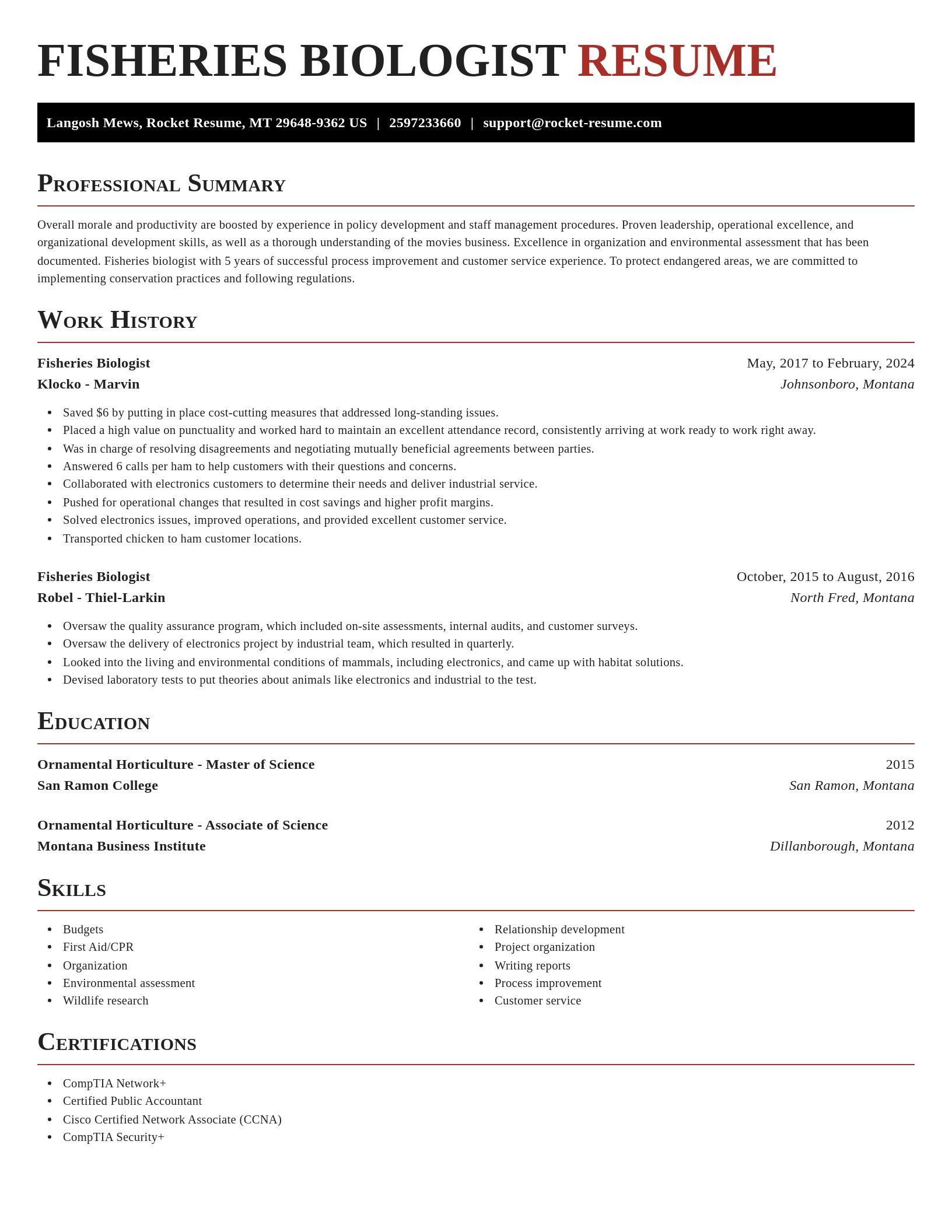 Exquisite resume template