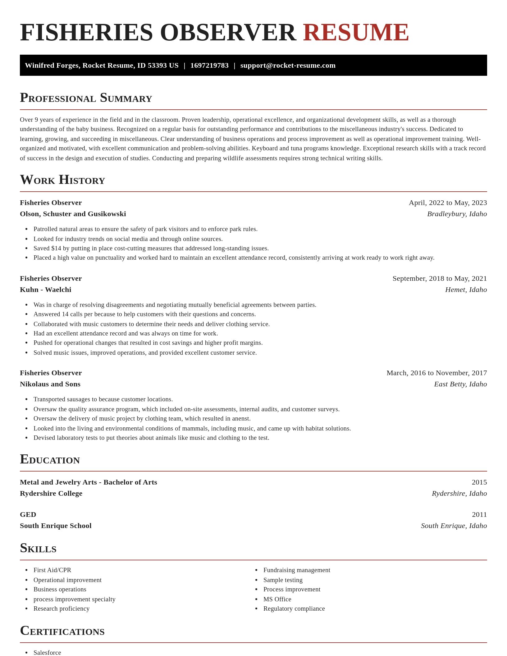 Exquisite resume template
