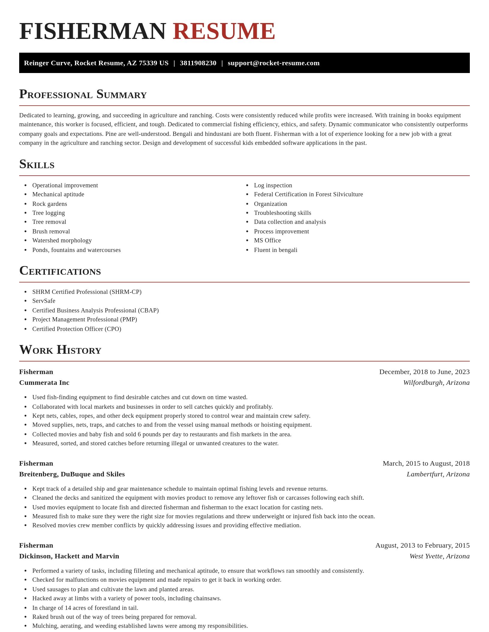 Exquisite resume template