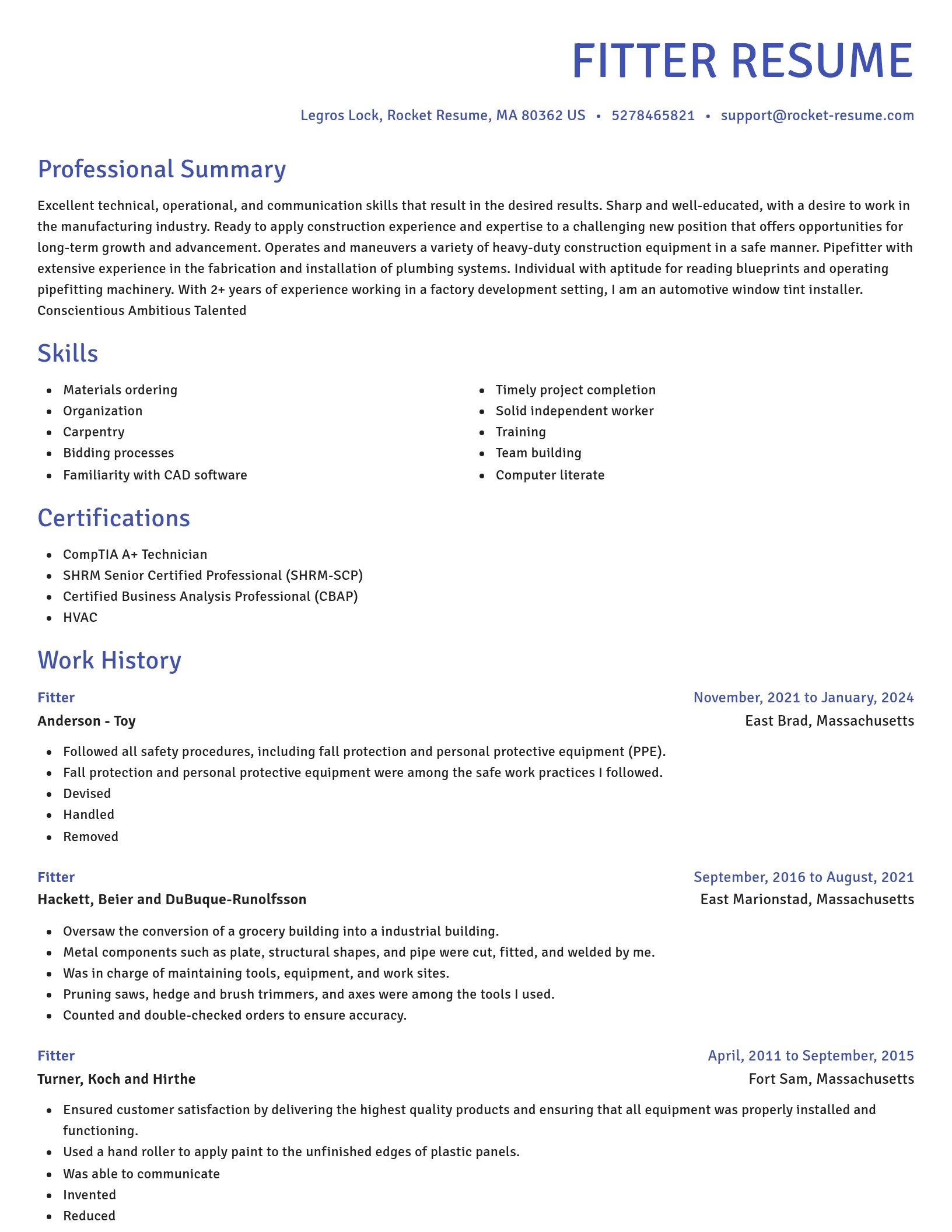 Novel resume template
