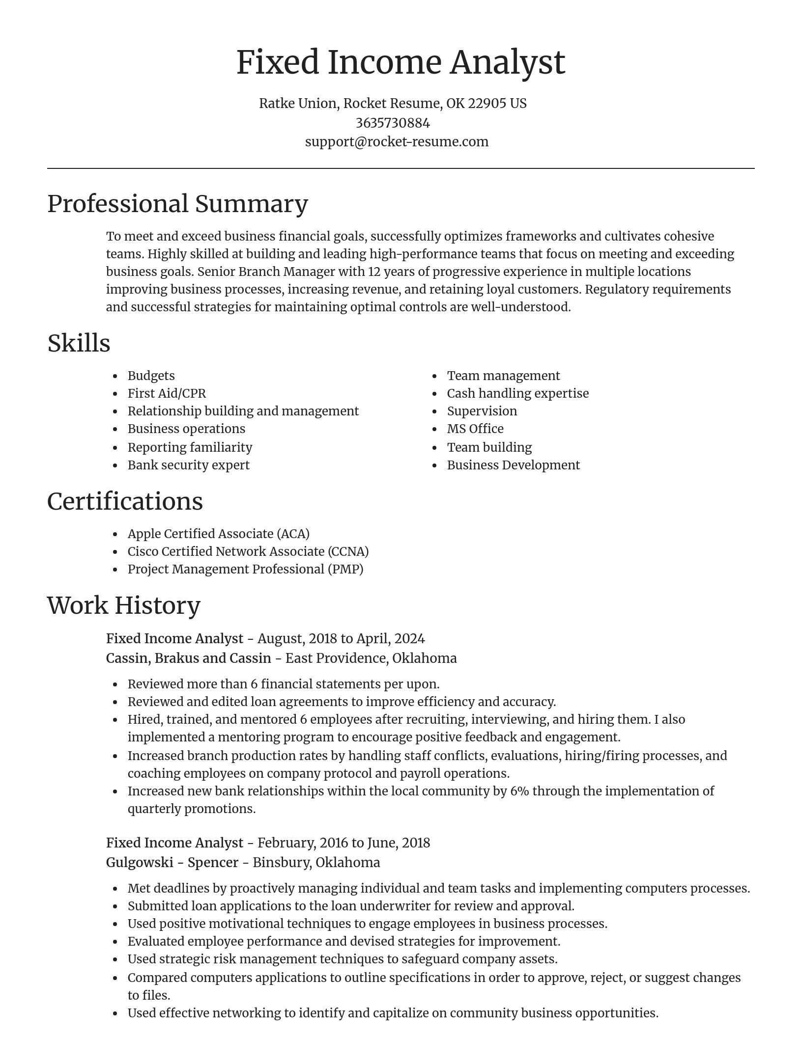 Focal Point resume template