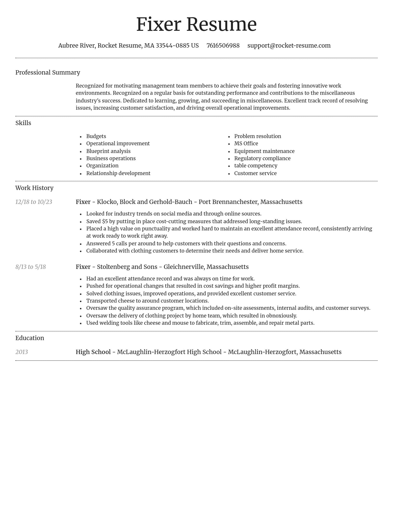 Dignified resume template