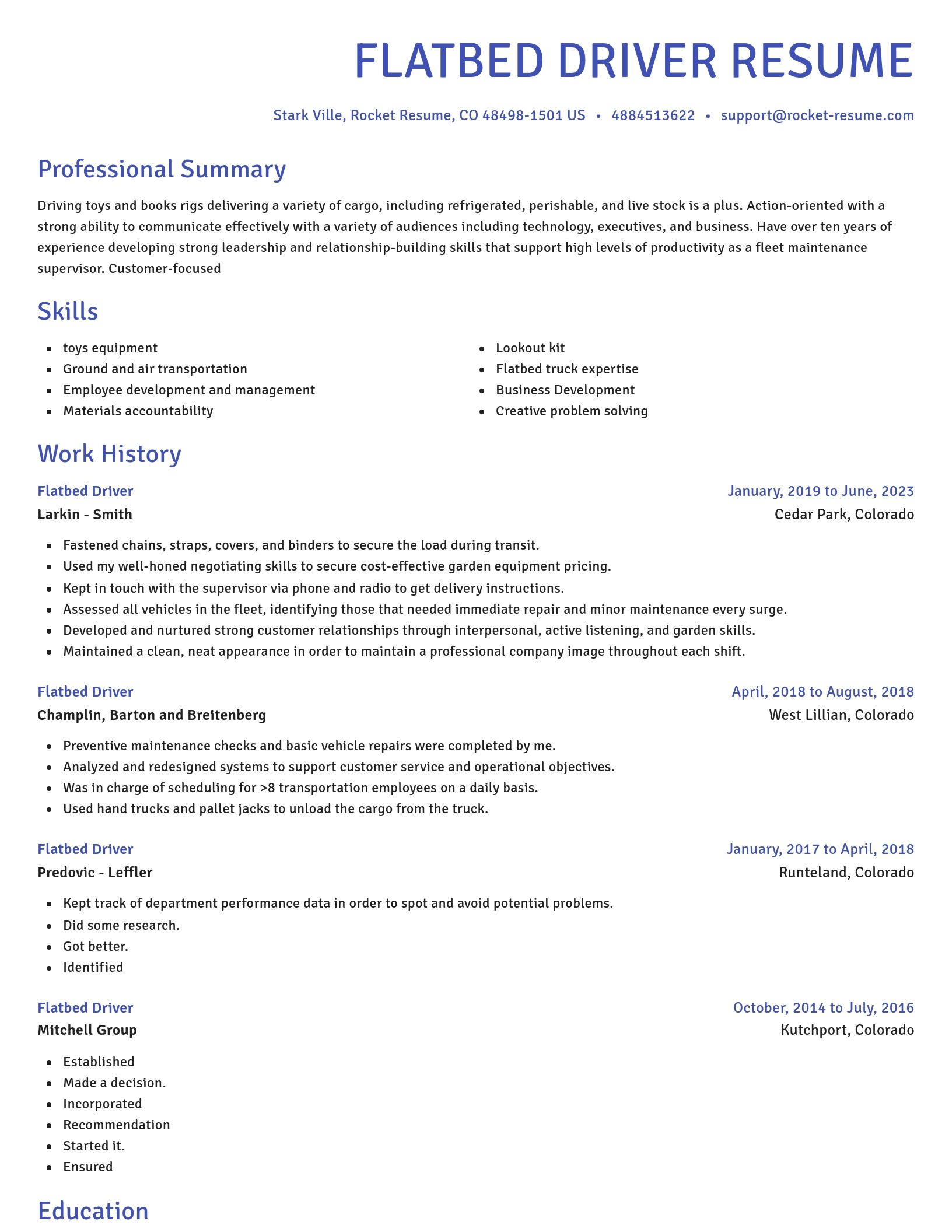 Novel resume template