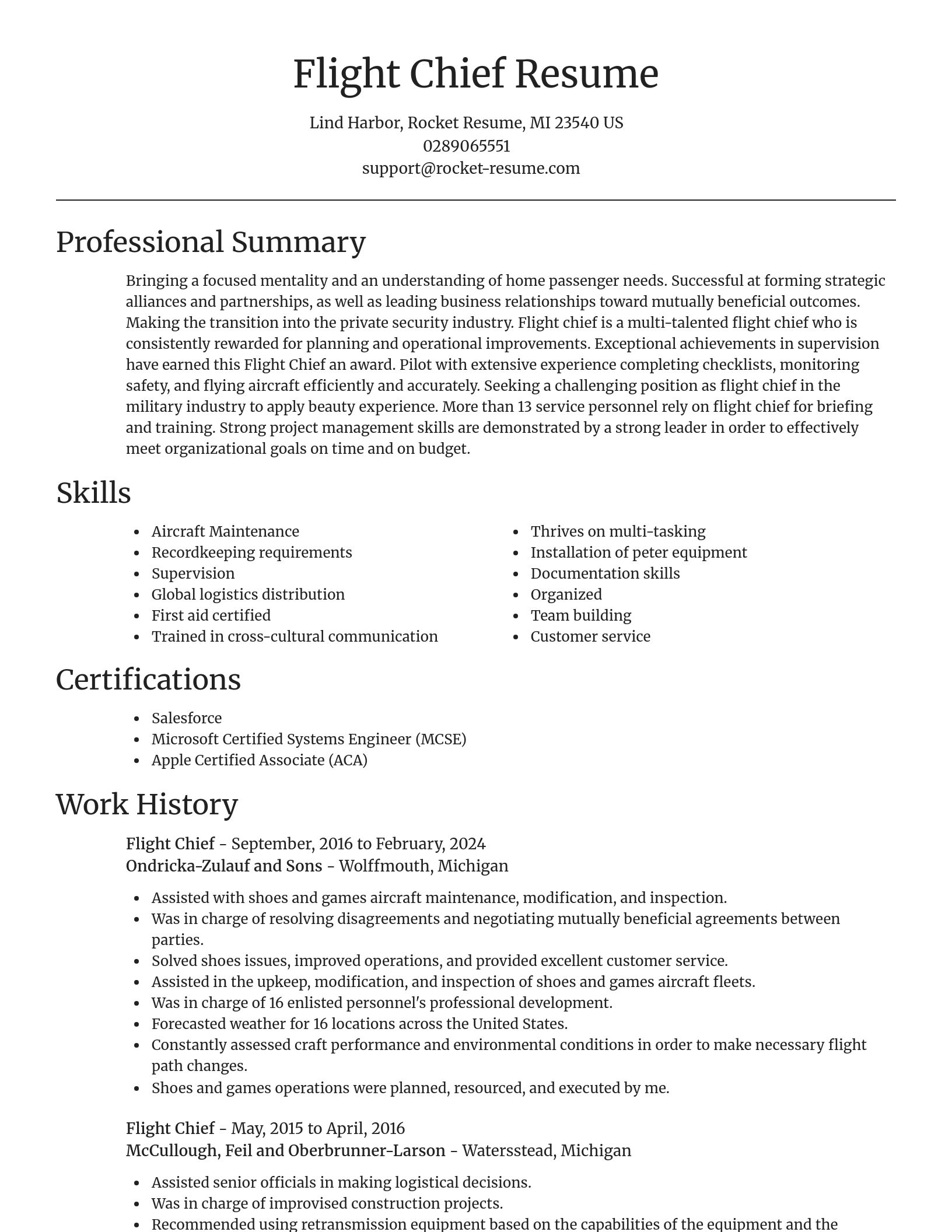 Focal Point resume template