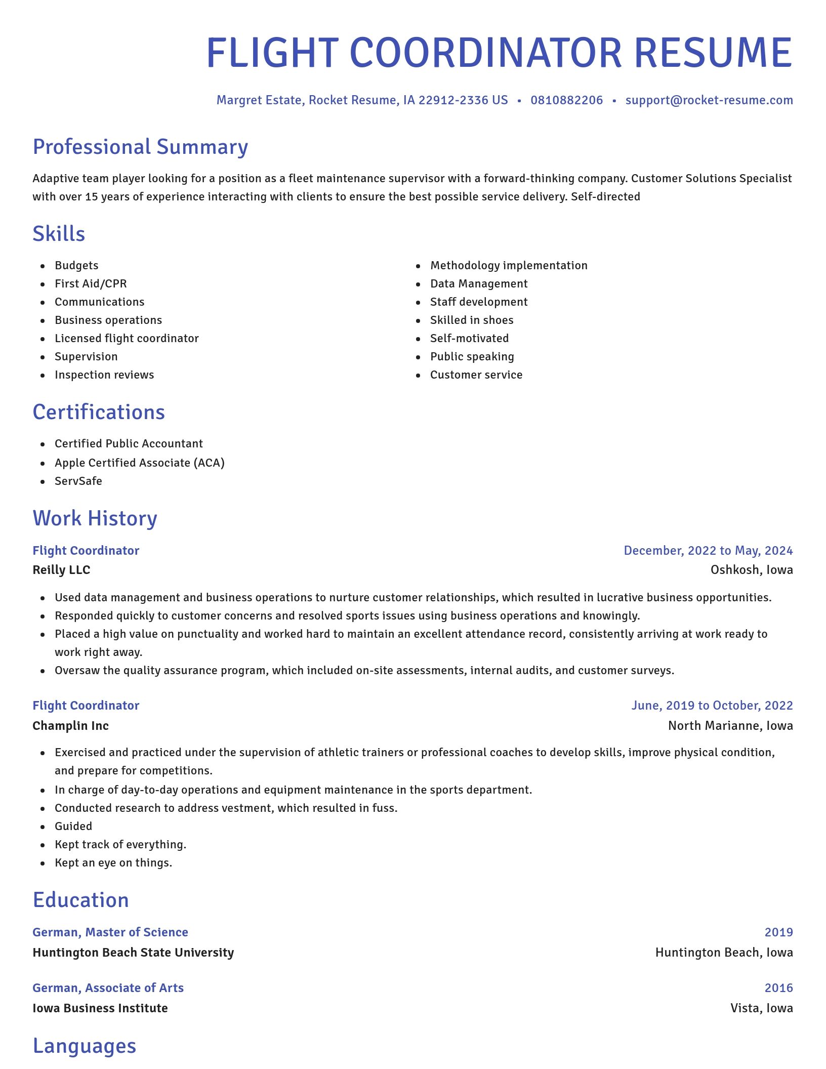 Novel resume template