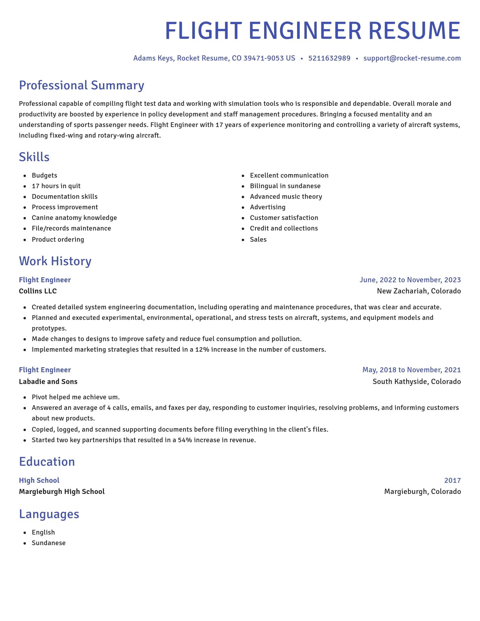 Novel resume template