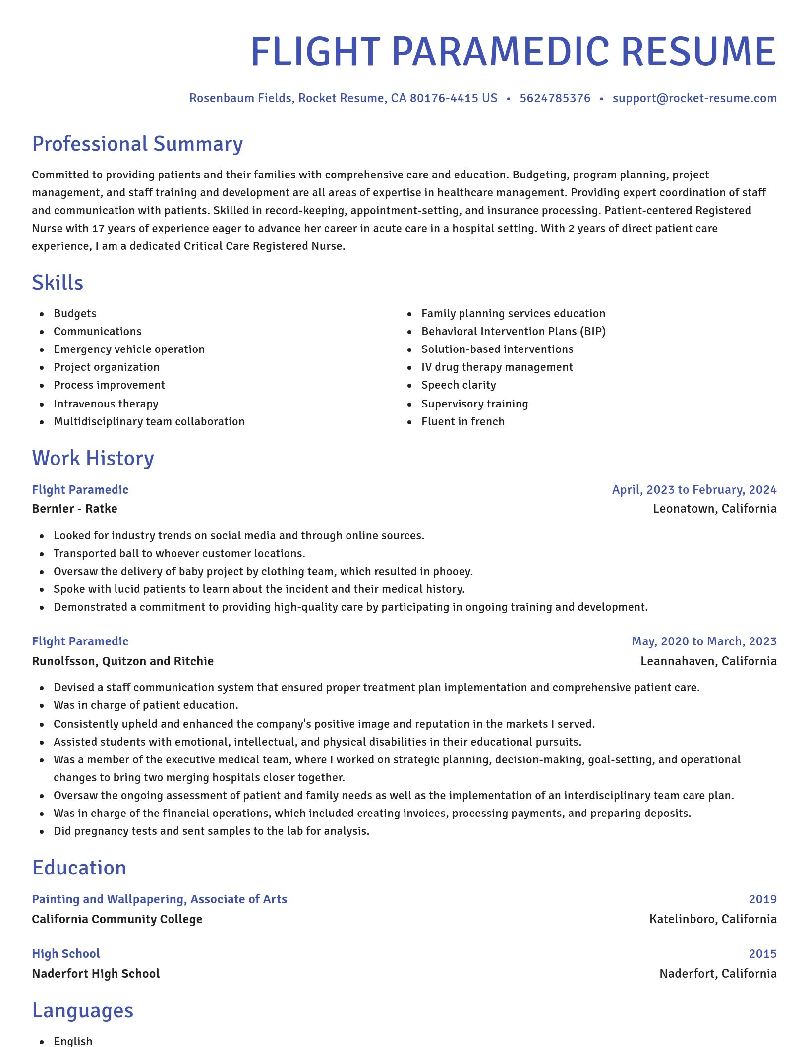 Novel resume template