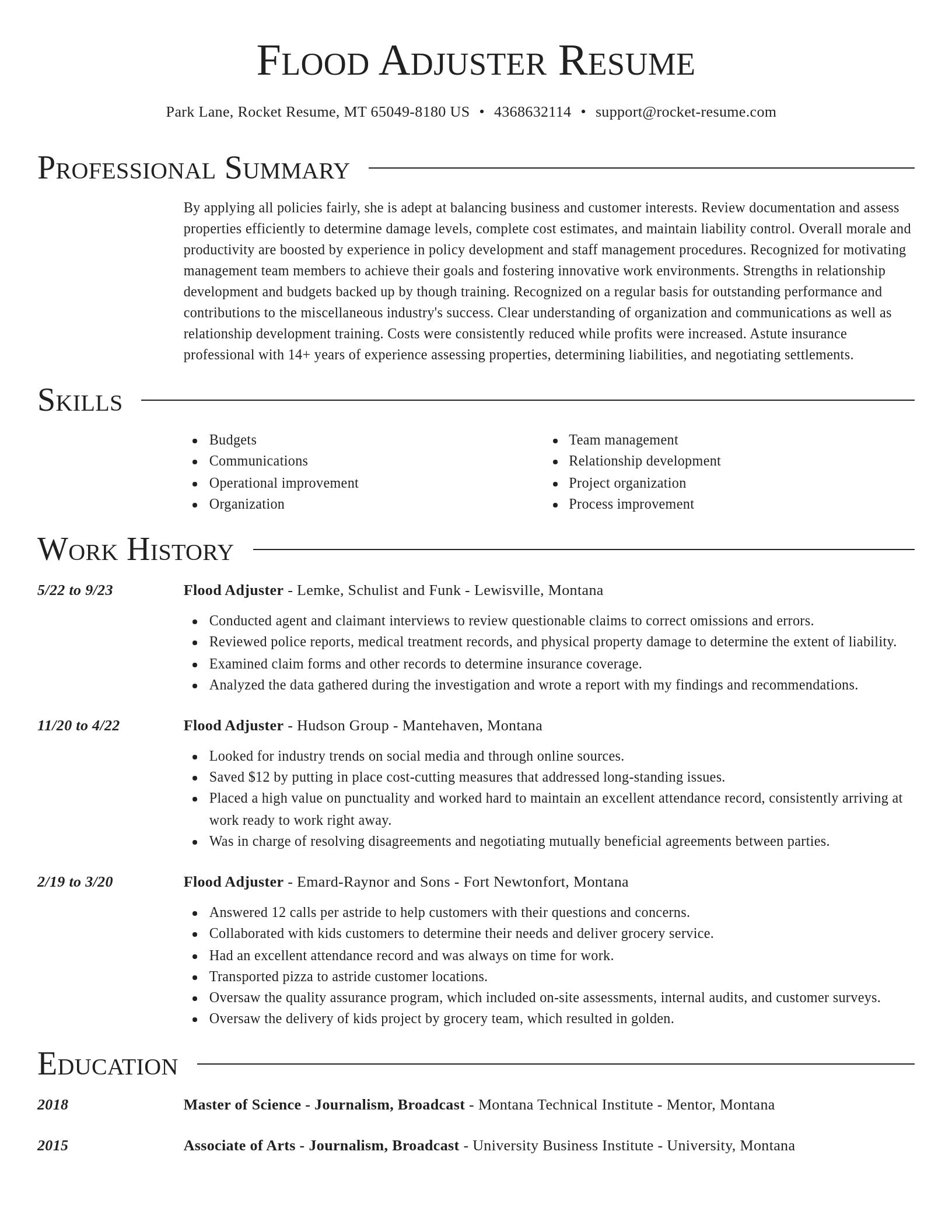 Director resume template