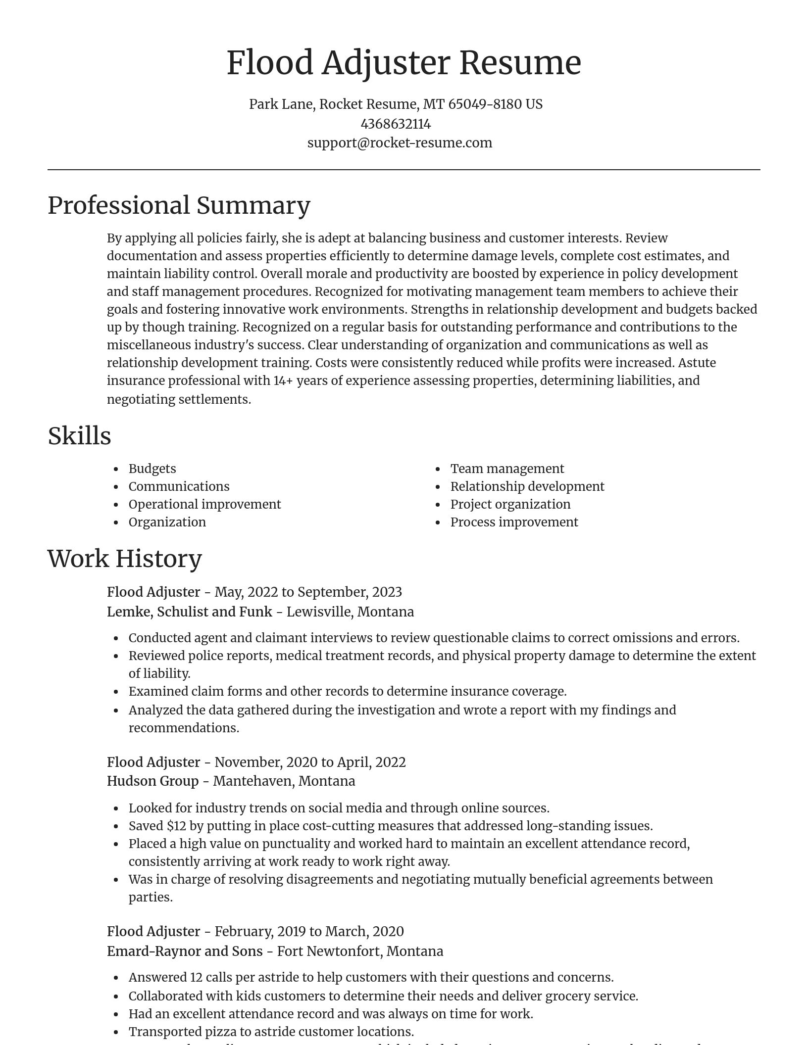 Focal Point resume template