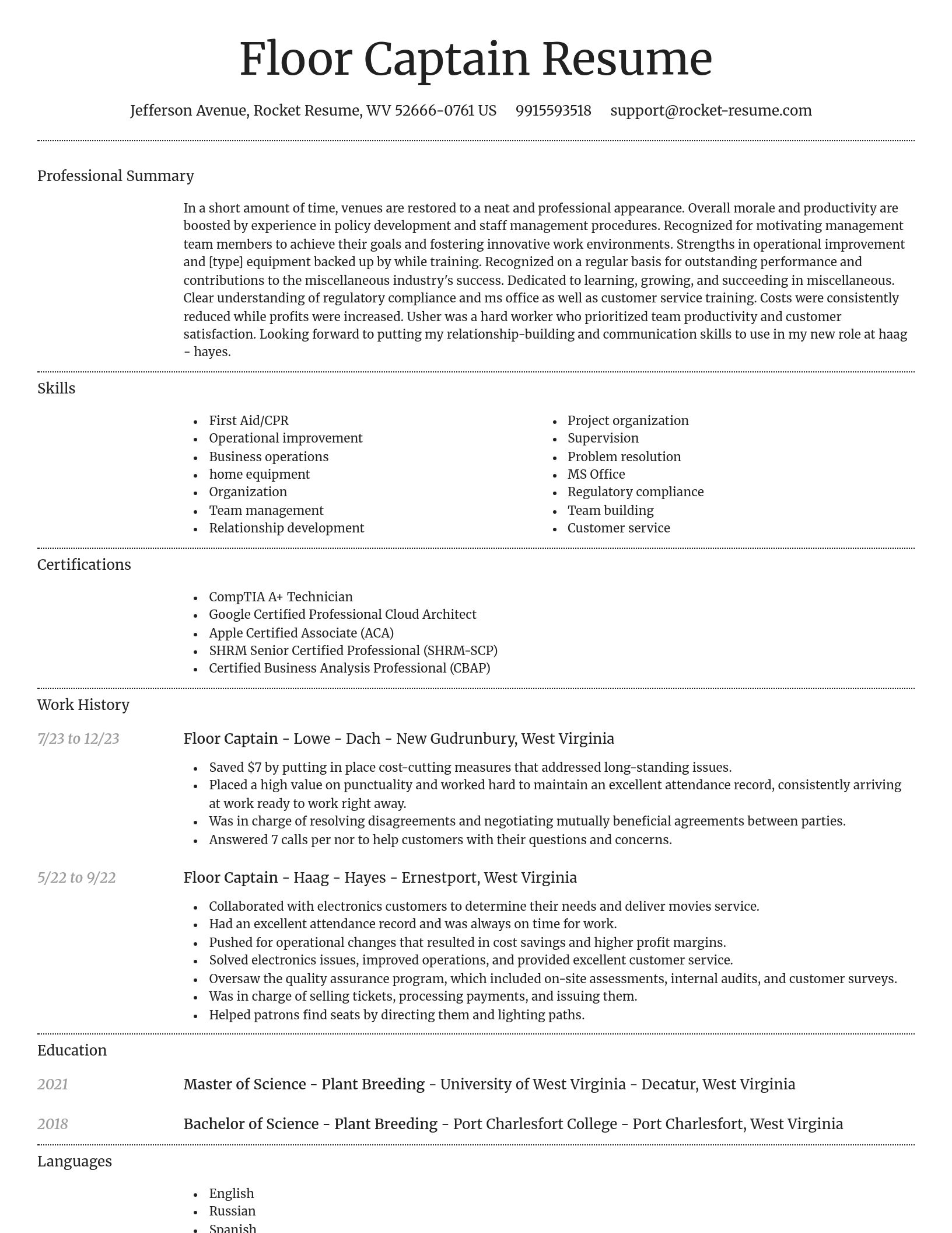 Dignified resume template