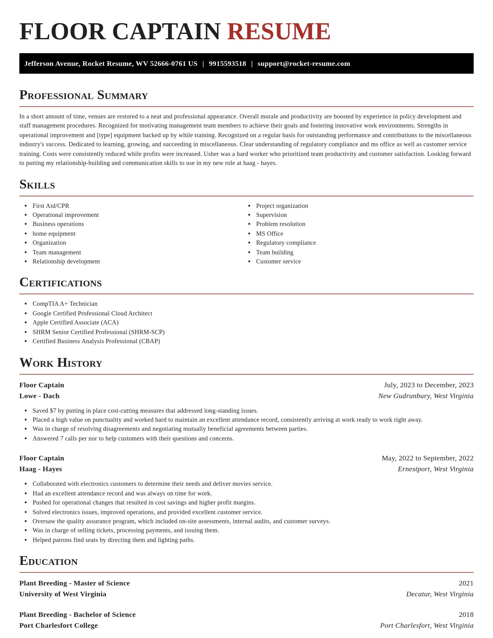 Exquisite resume template