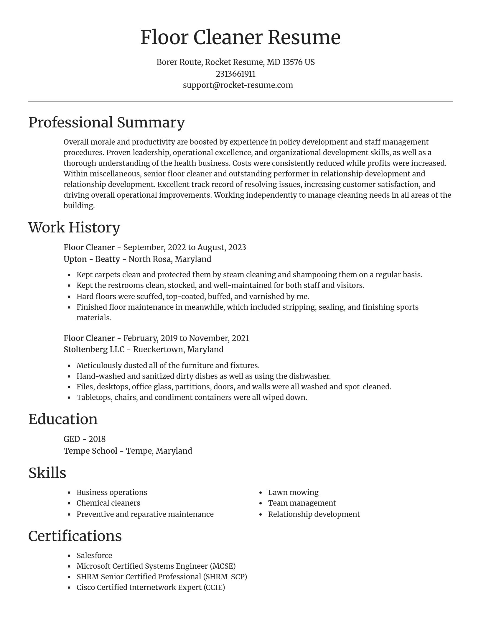 Focal Point resume template