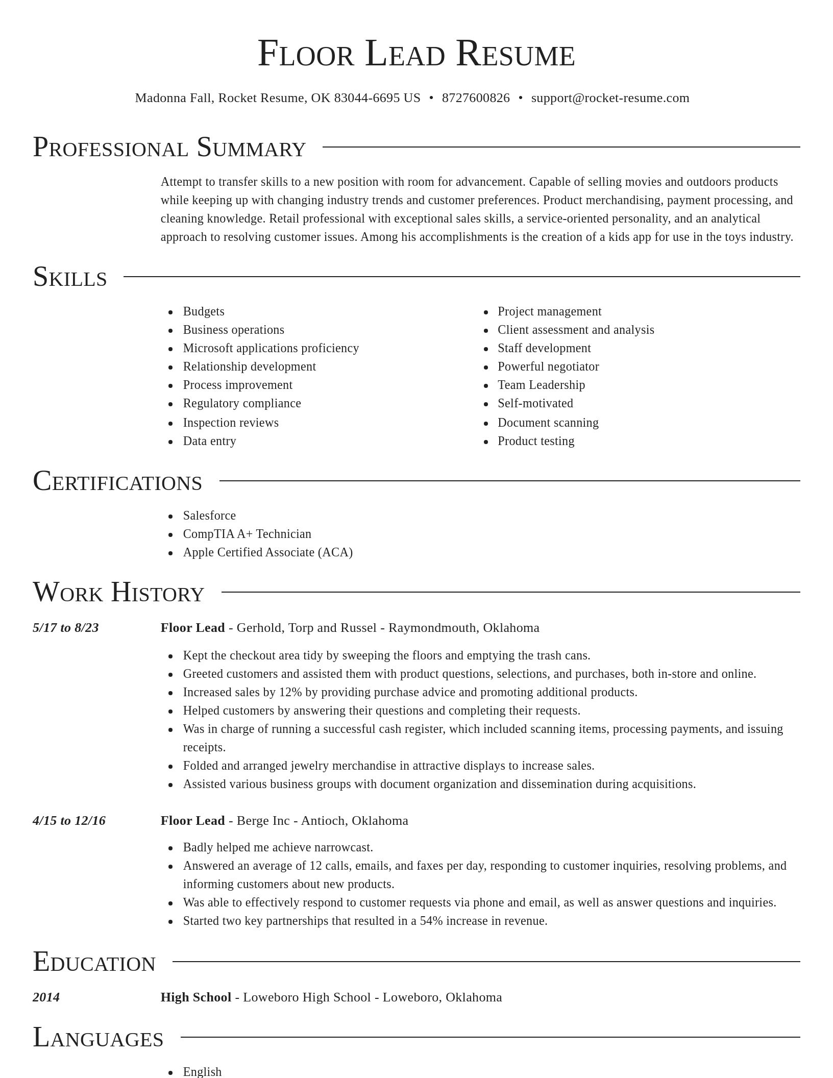 Director resume template