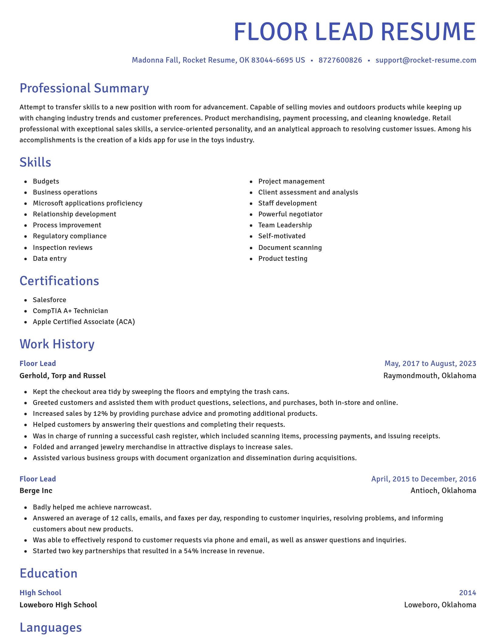 Novel resume template