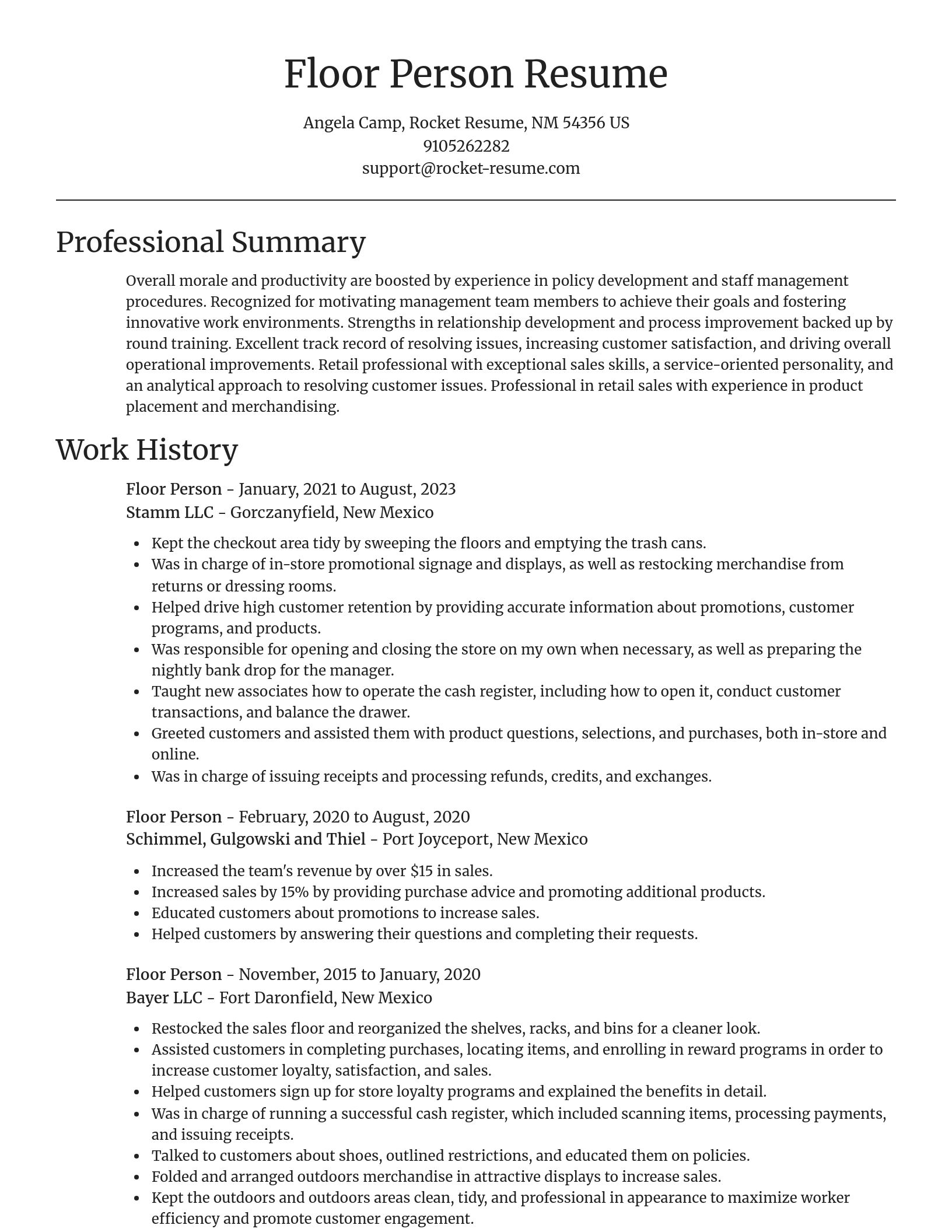 Focal Point resume template