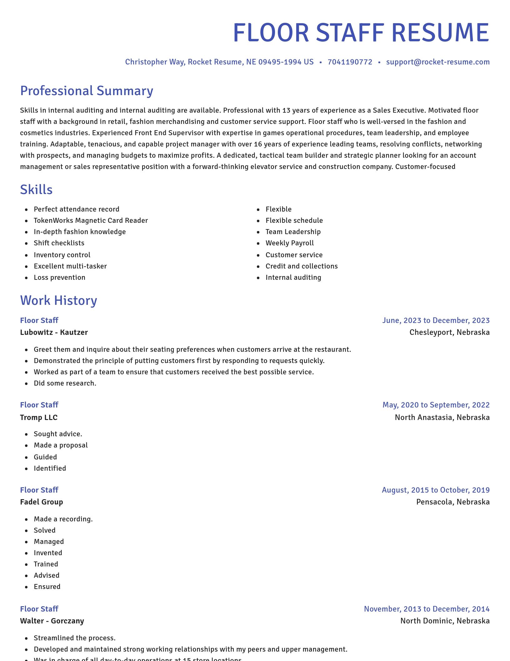 Novel resume template