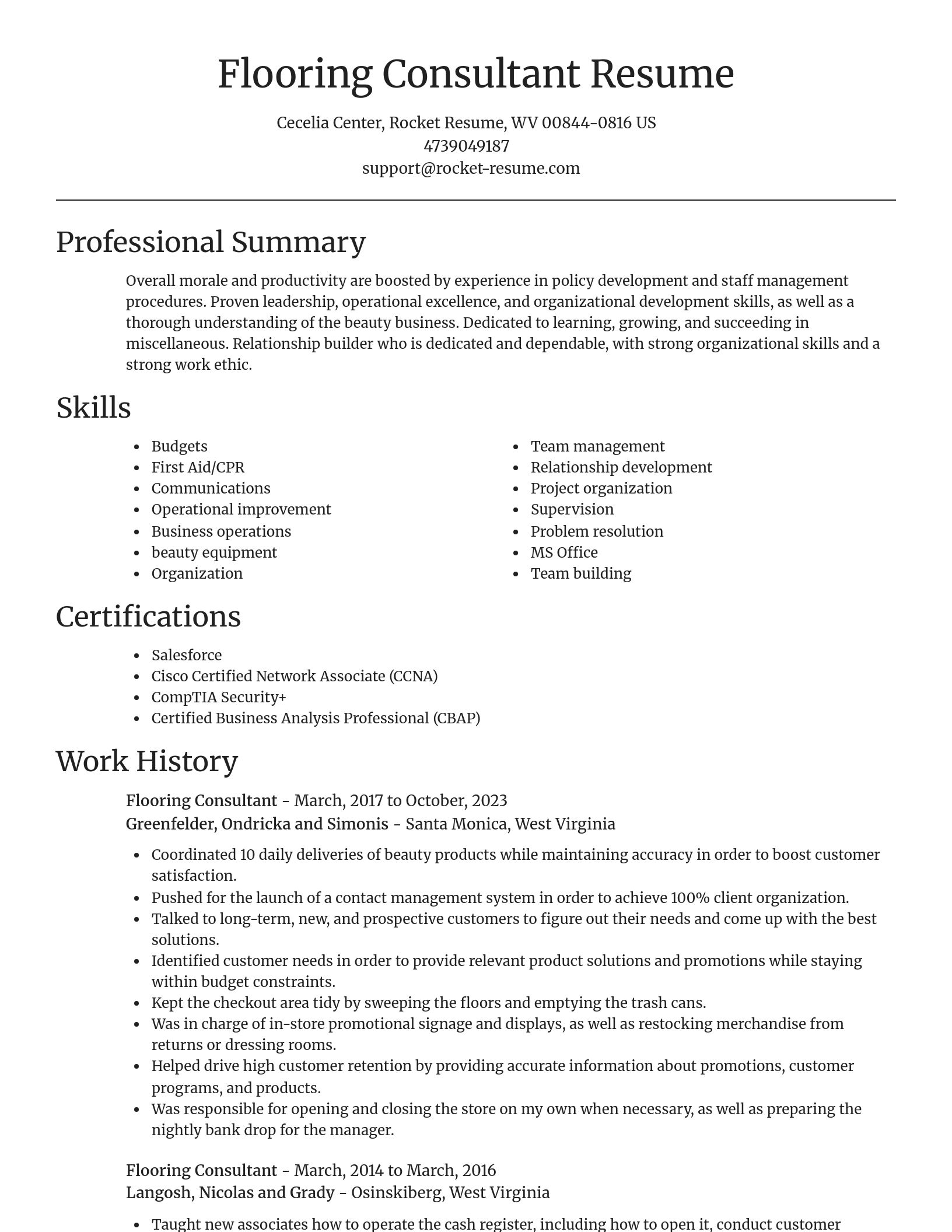 Focal Point resume template