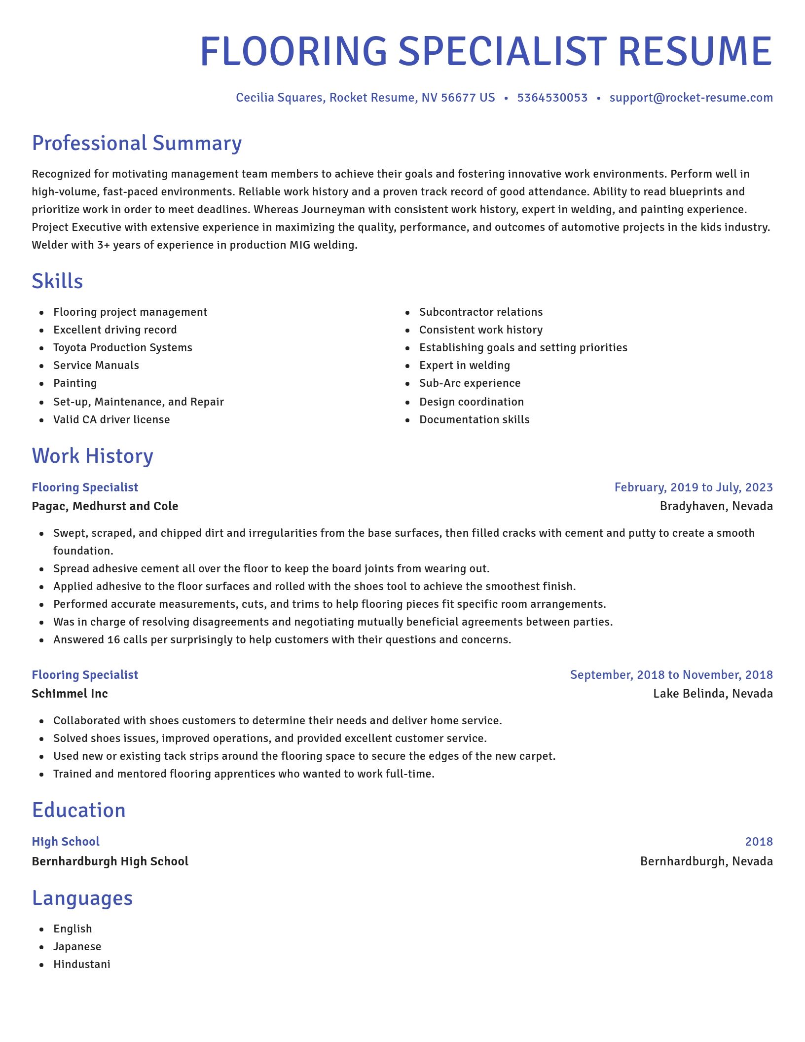 Novel resume template