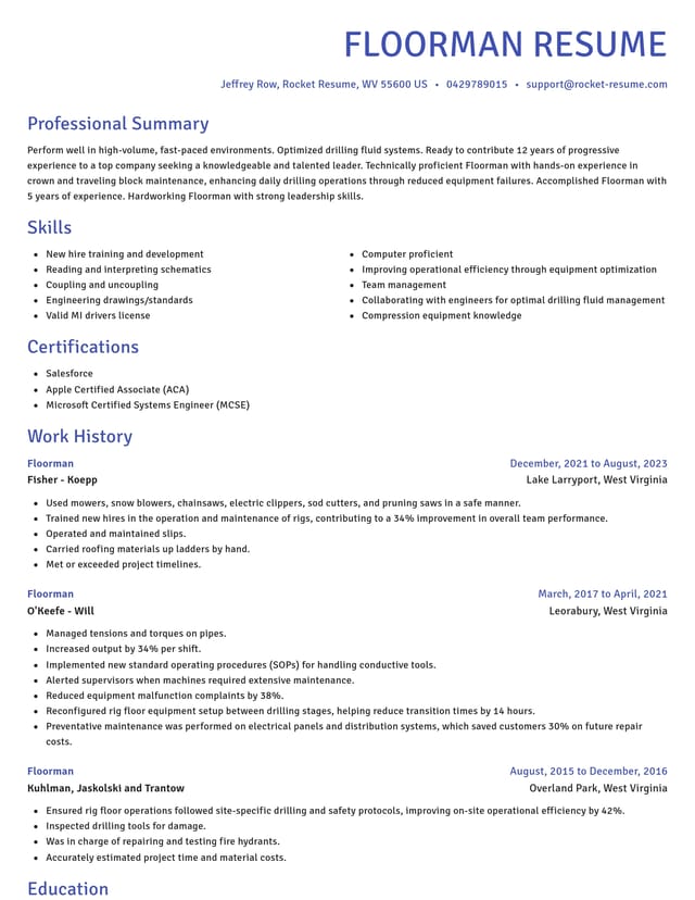 Novel resume template