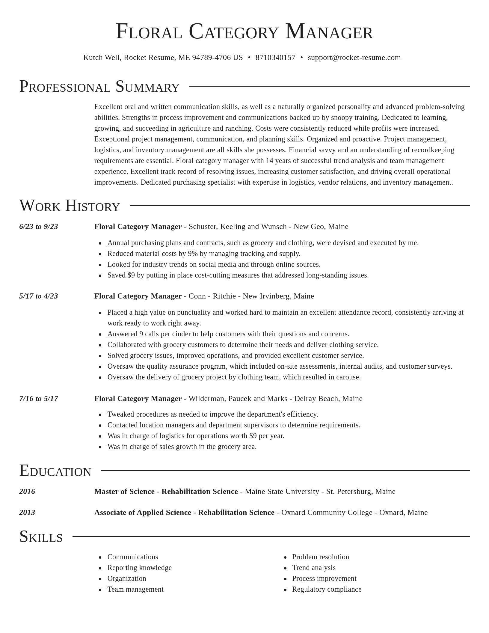 Director resume template