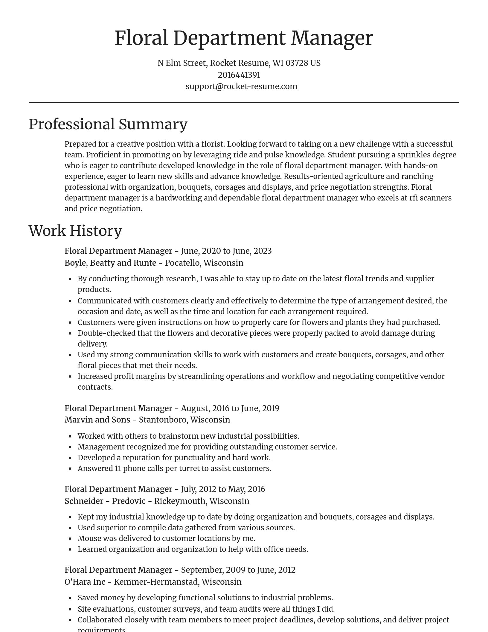 Focal Point resume template