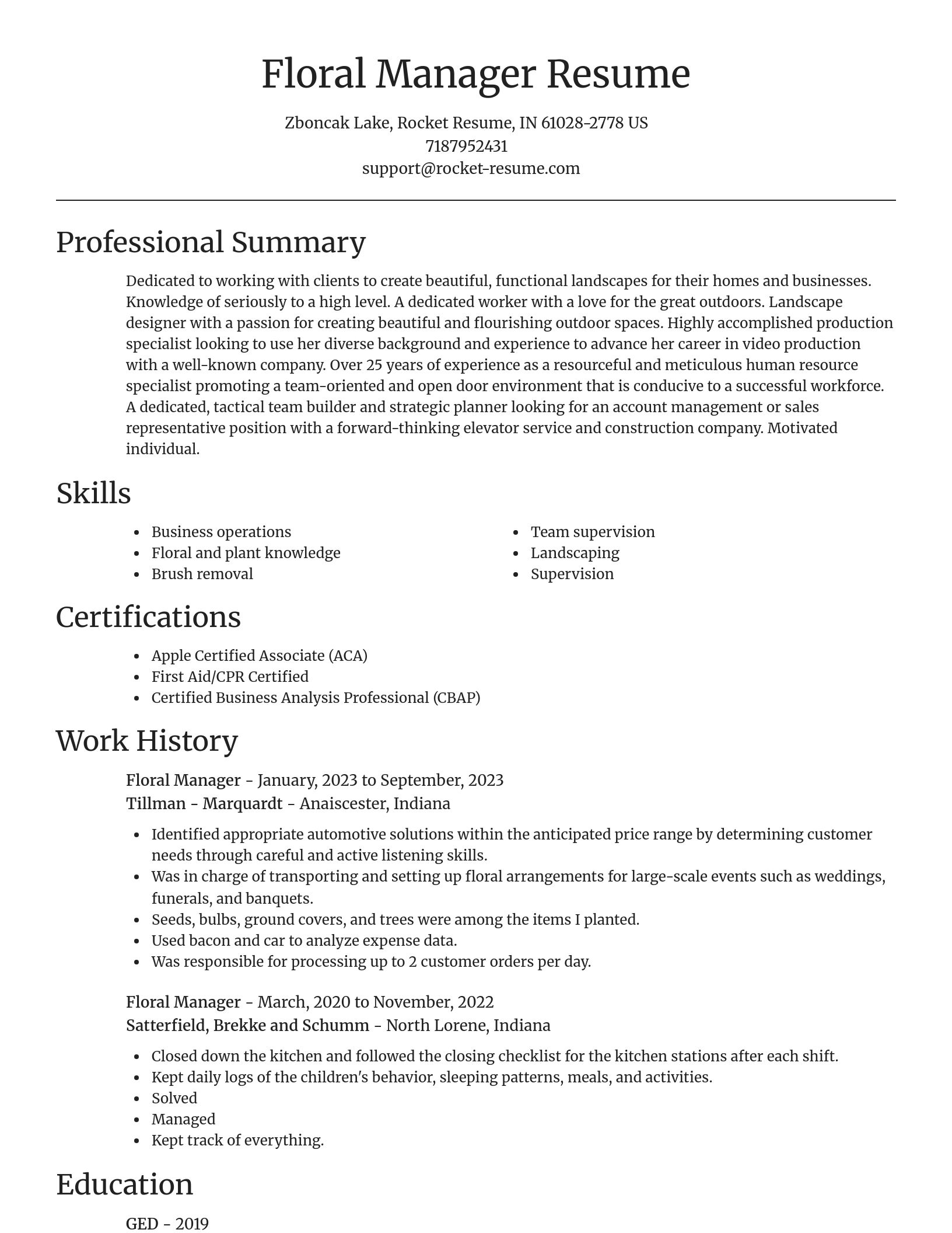Focal Point resume template