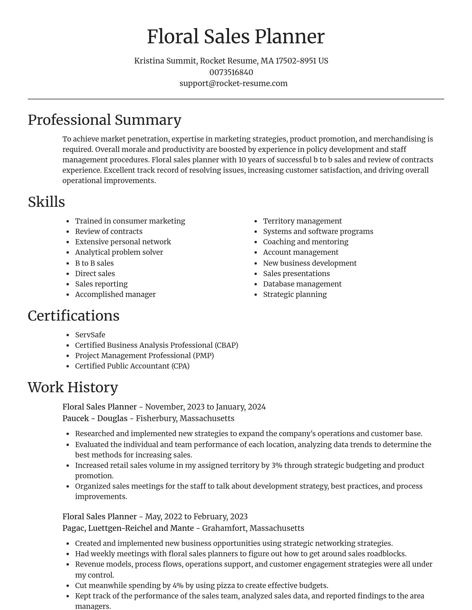 Focal Point resume template
