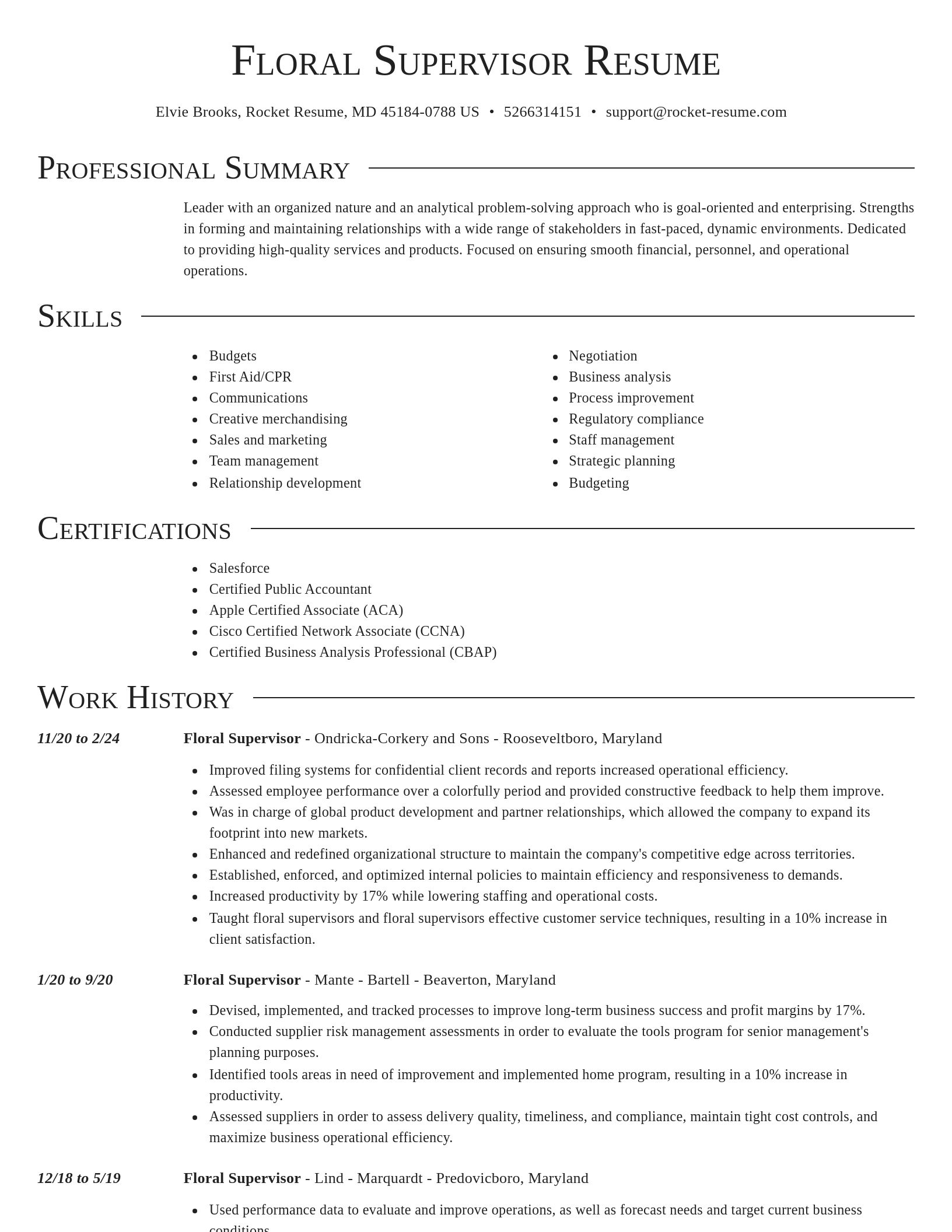 Director resume template
