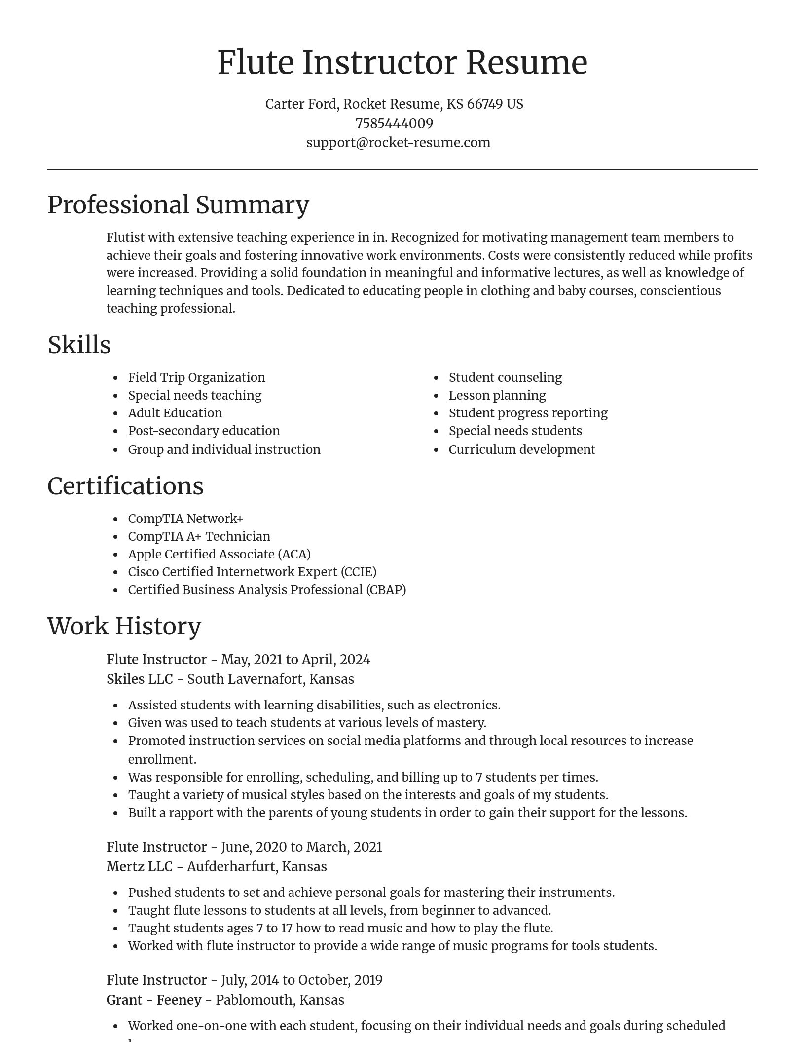 Focal Point resume template