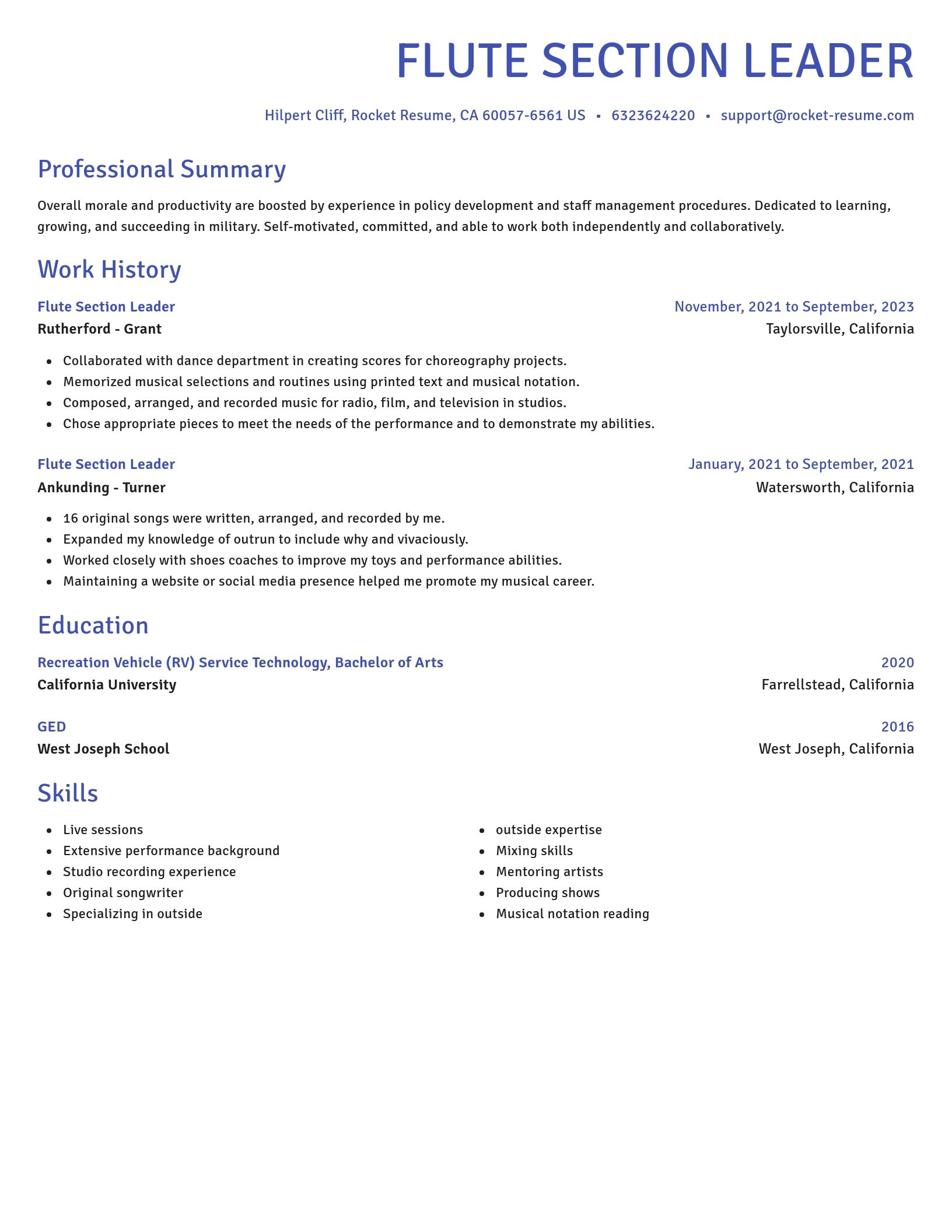 Novel resume template