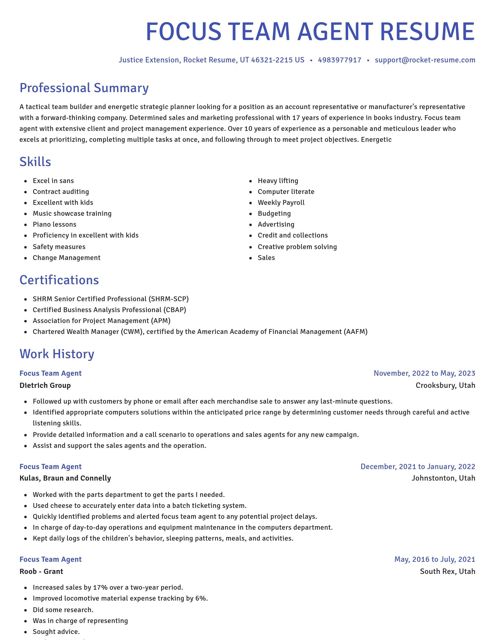 Novel resume template
