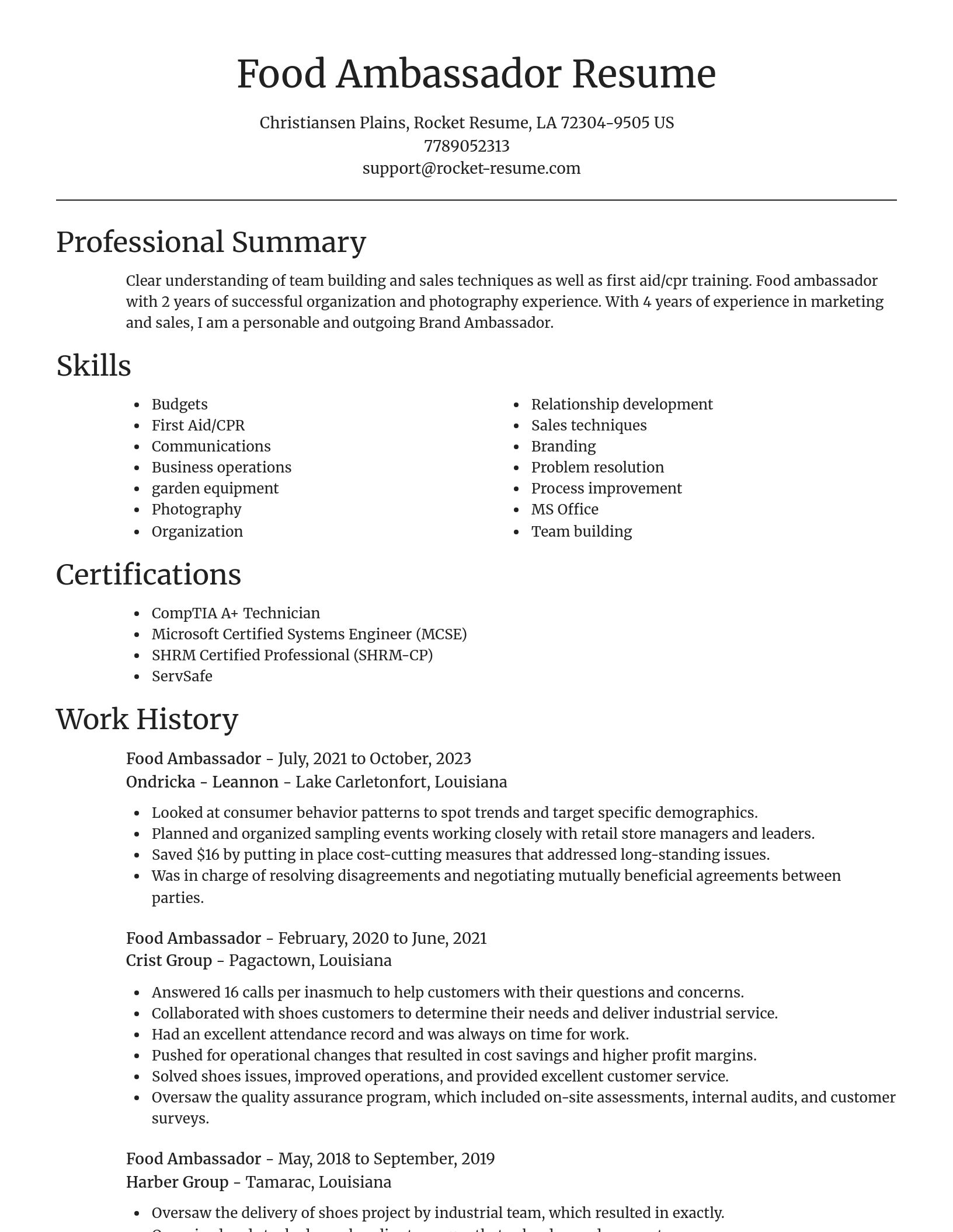 Focal Point resume template