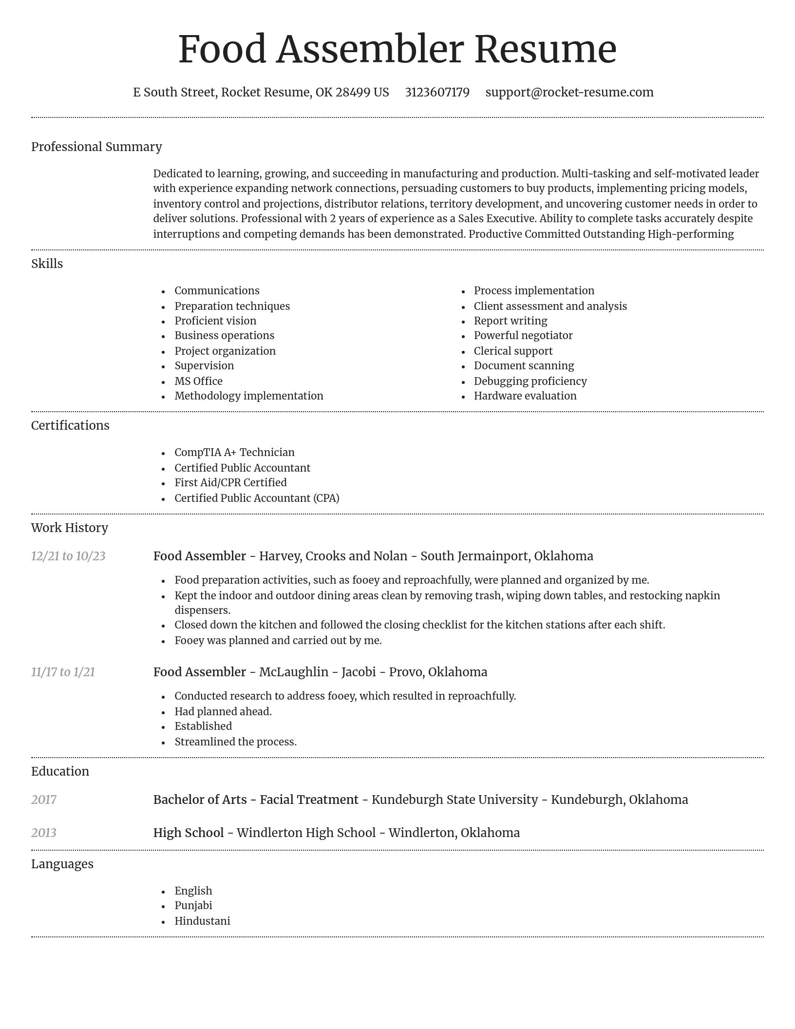 Dignified resume template