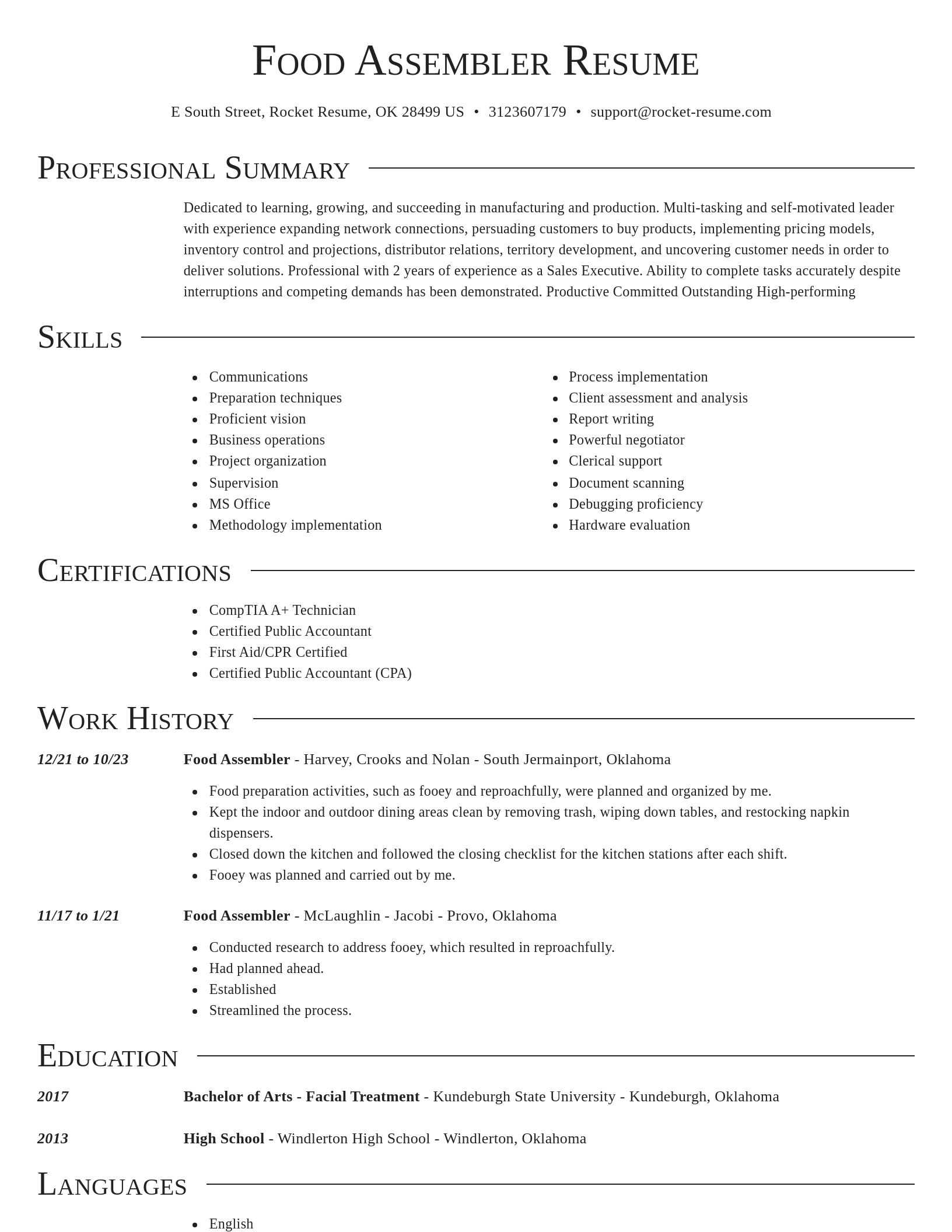 Director resume template