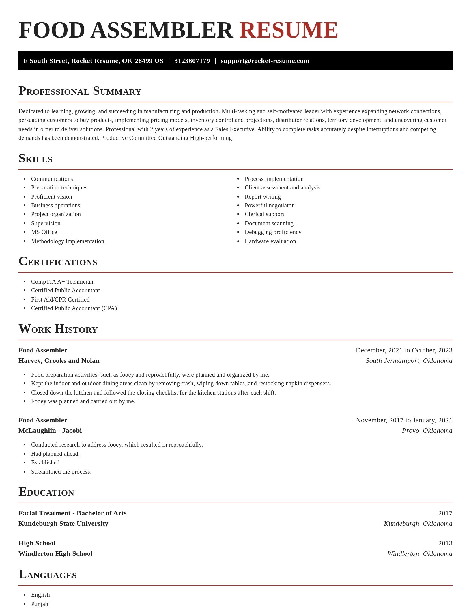 Exquisite resume template