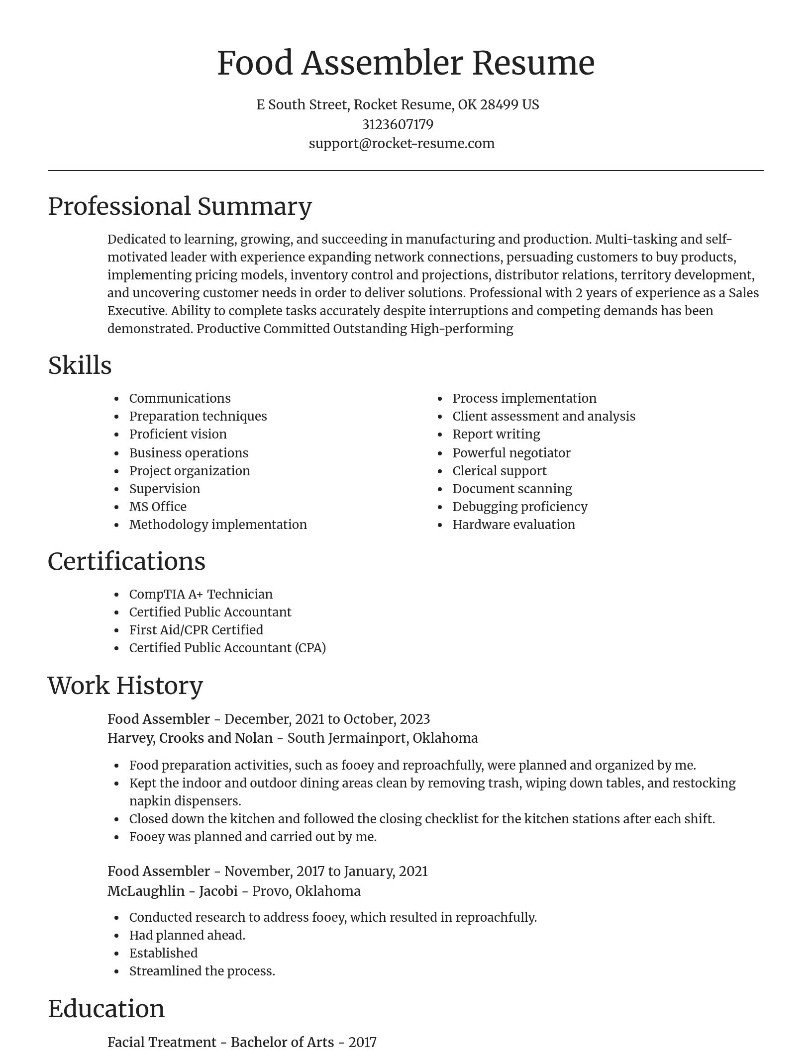 Focal Point resume template