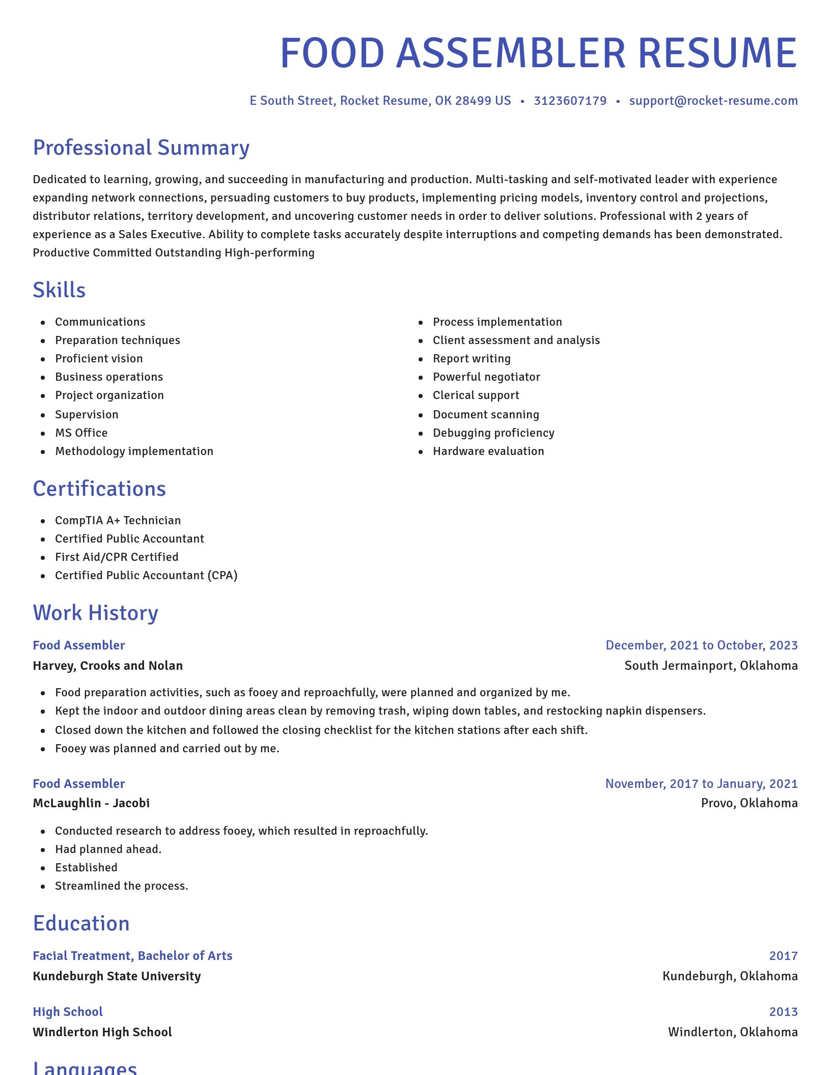 Novel resume template