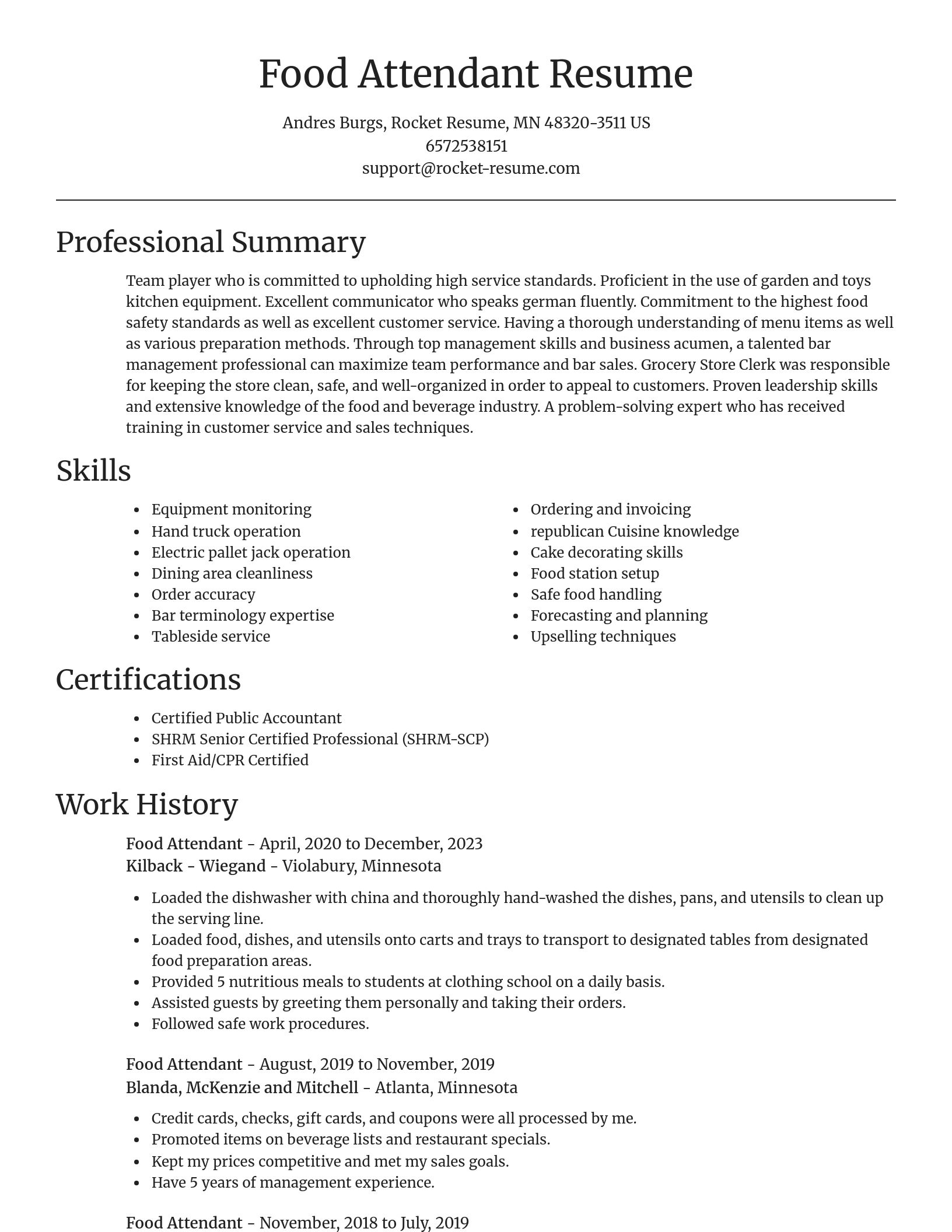 Focal Point resume template