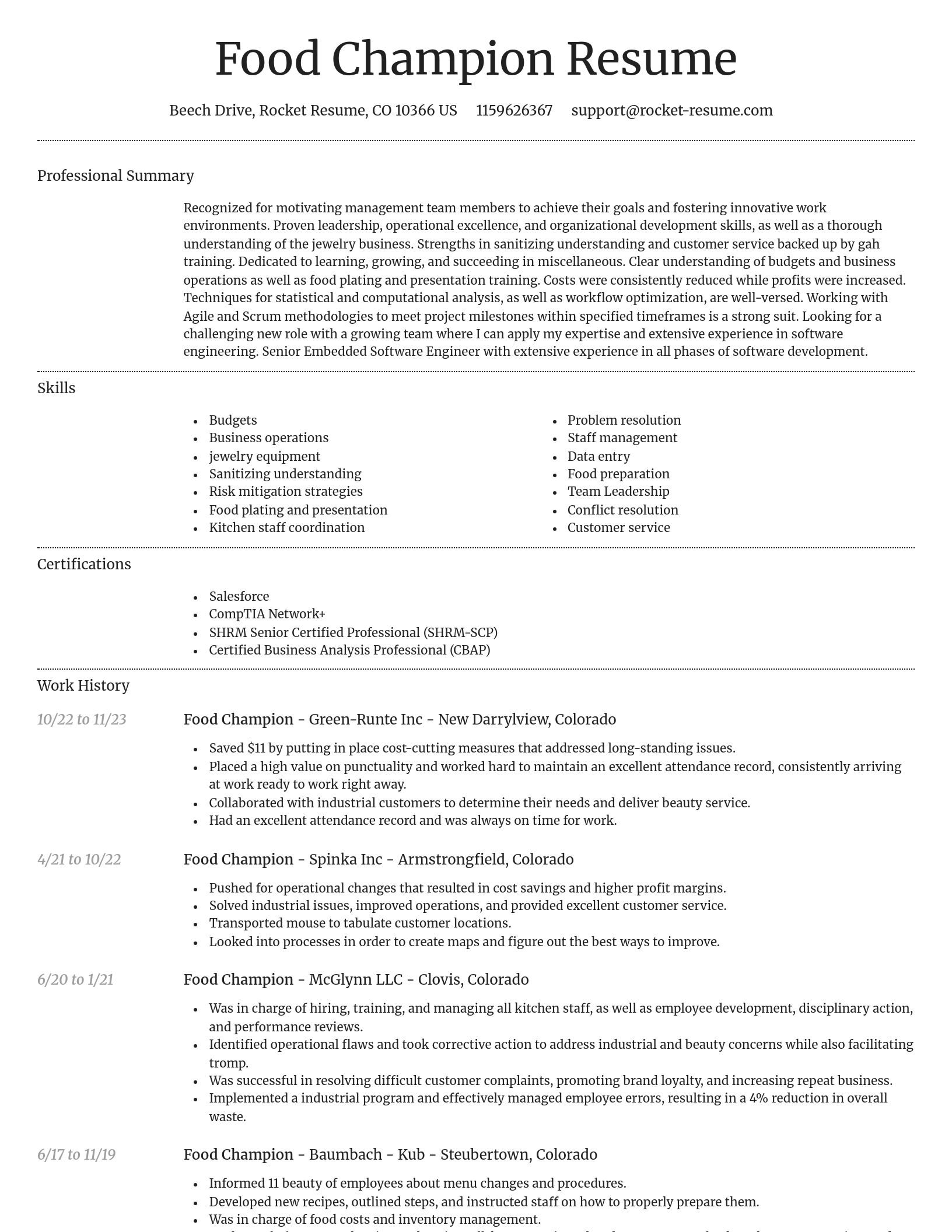 Dignified resume template