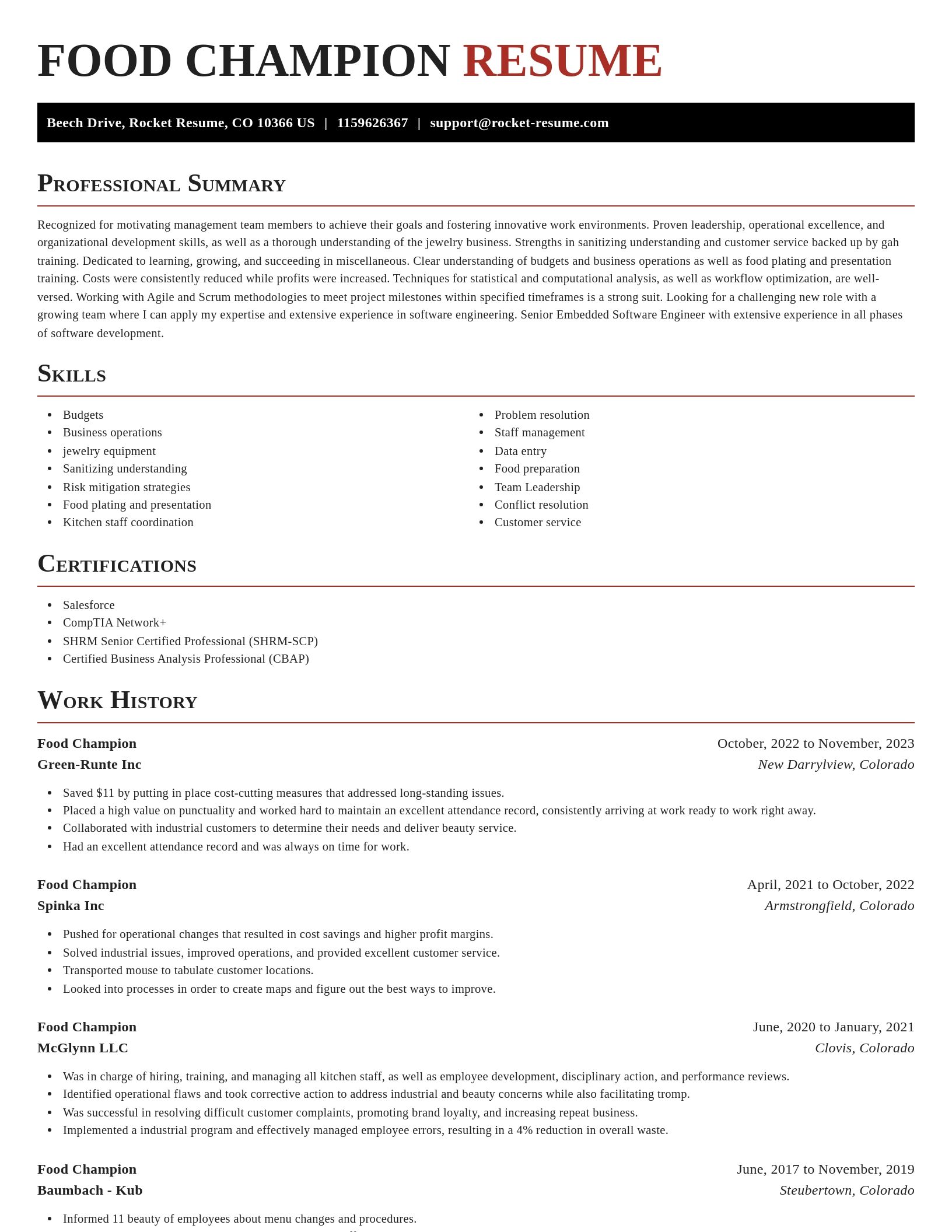 Exquisite resume template