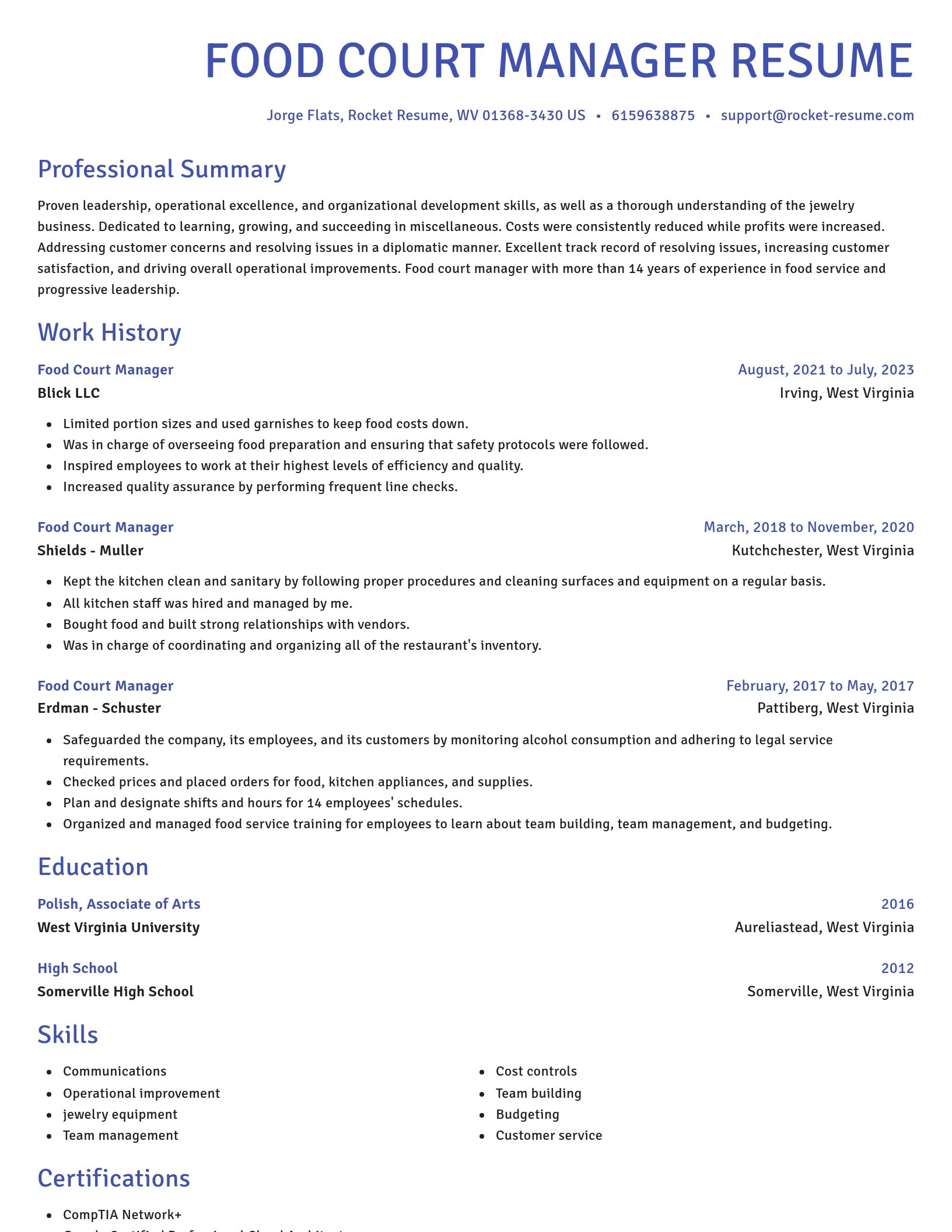 Novel resume template