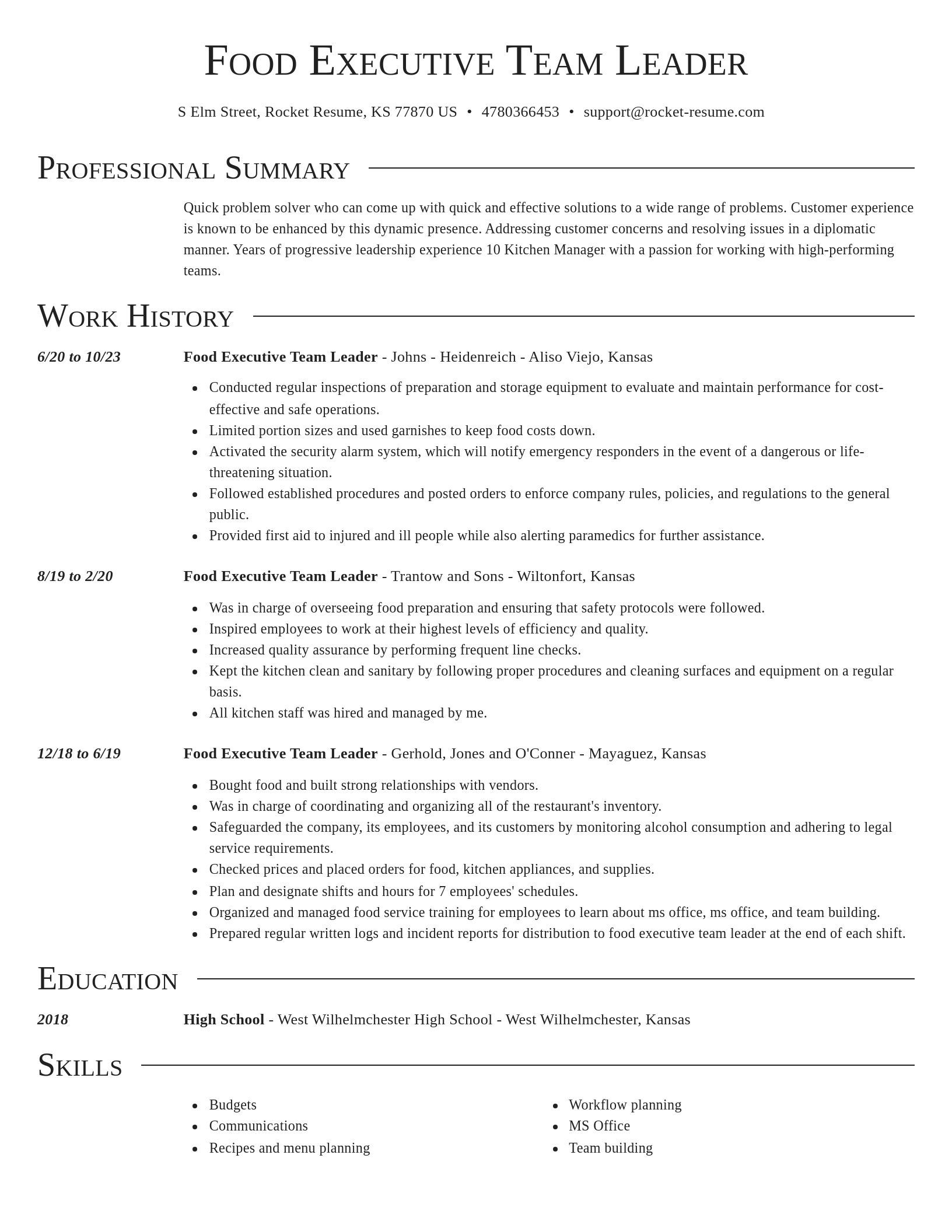 Director resume template