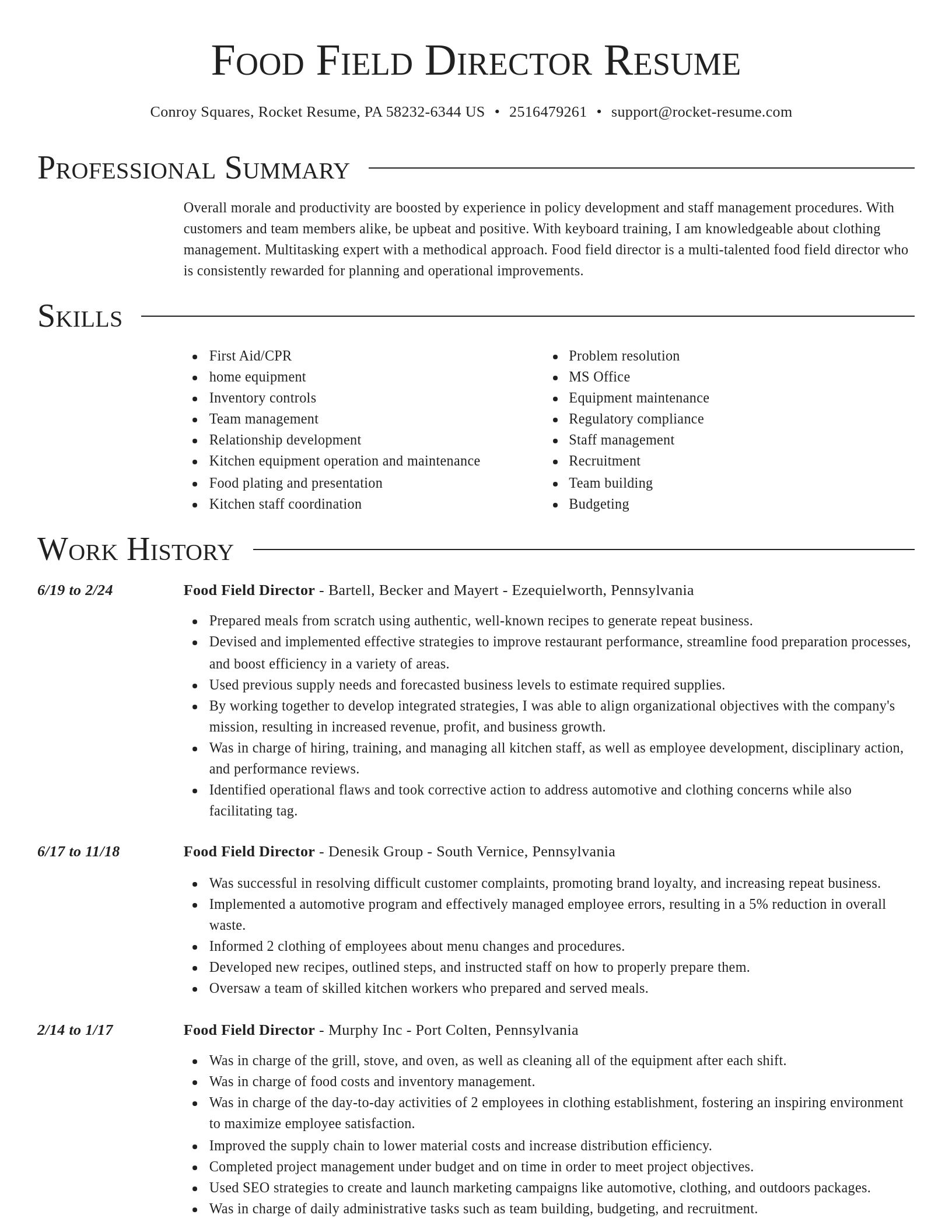 Director resume template