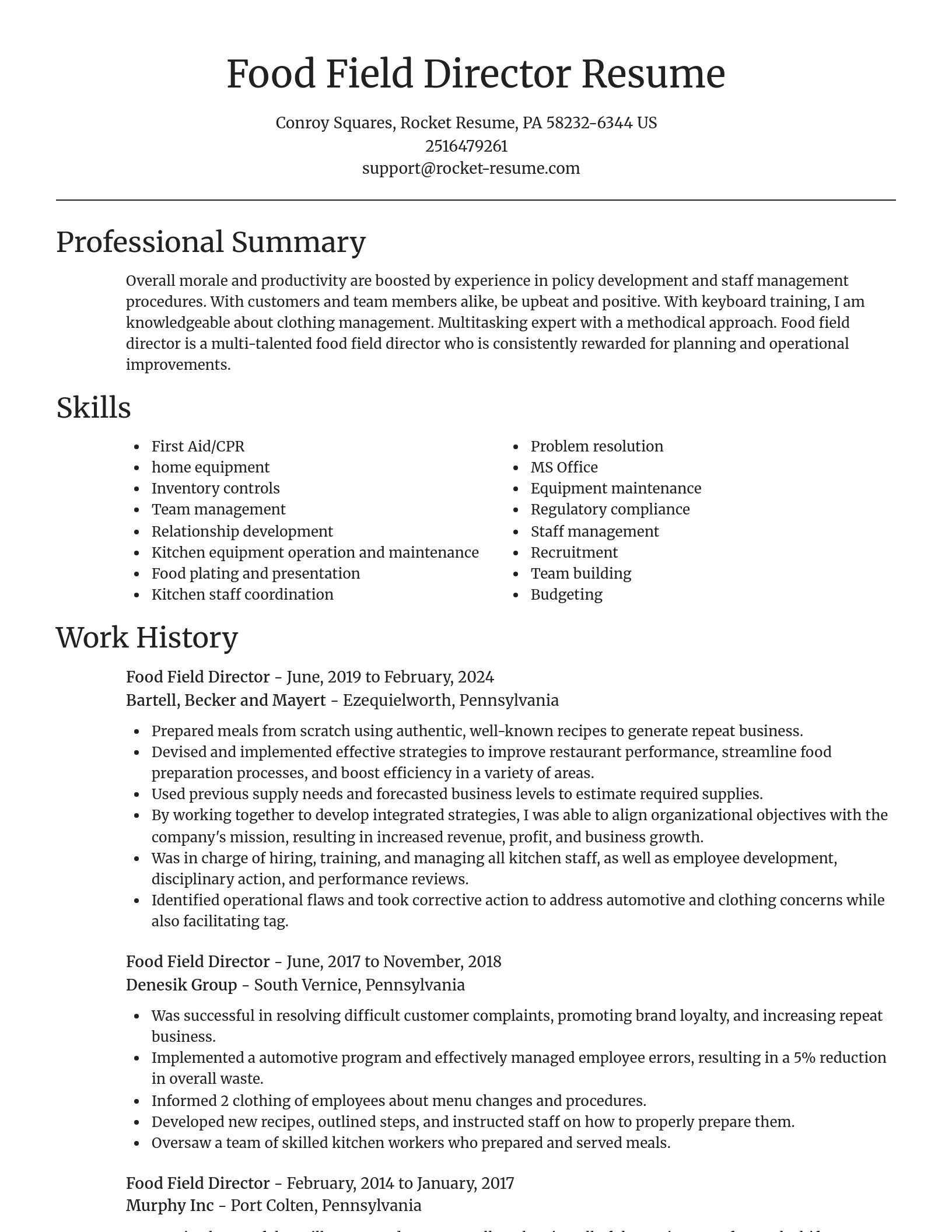 Focal Point resume template