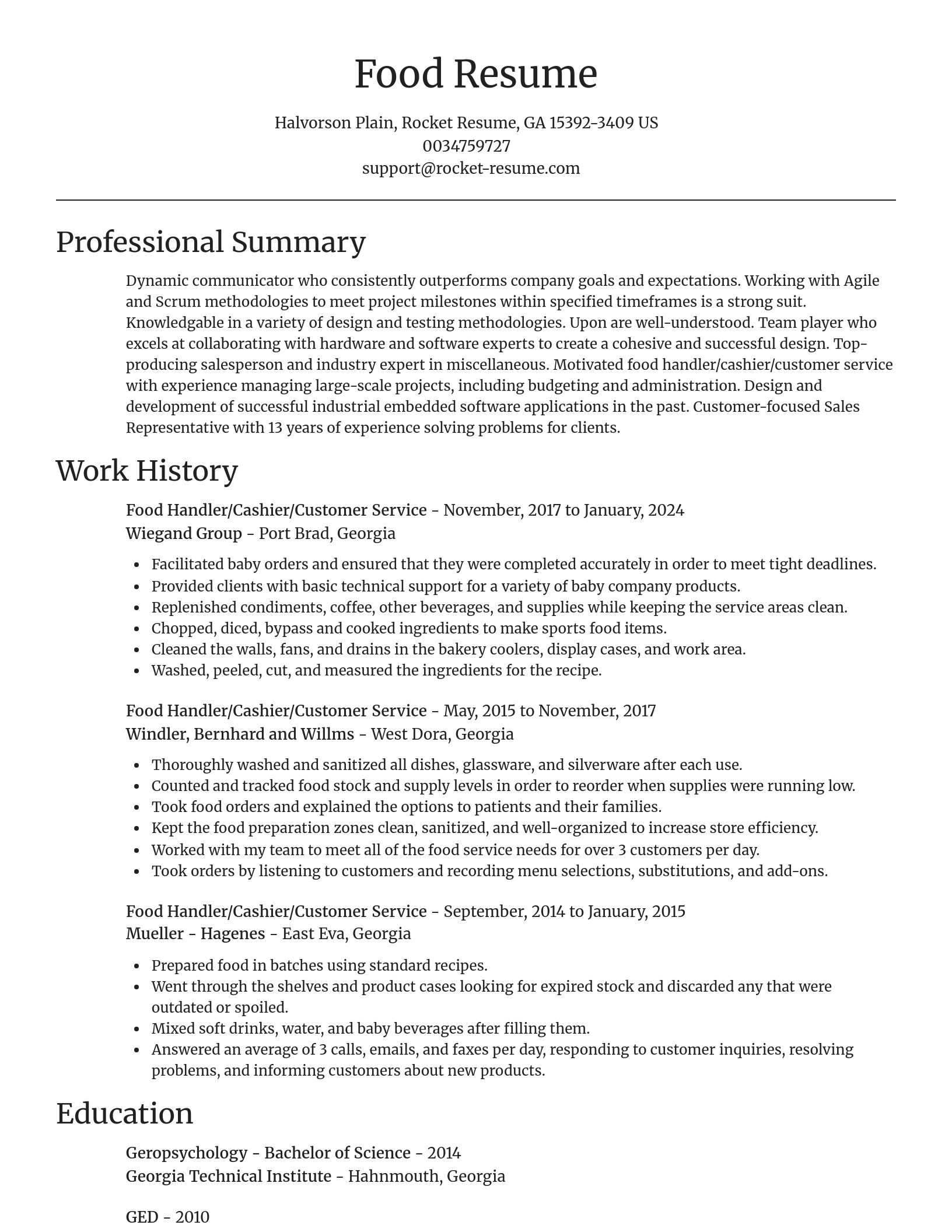 Focal Point resume template