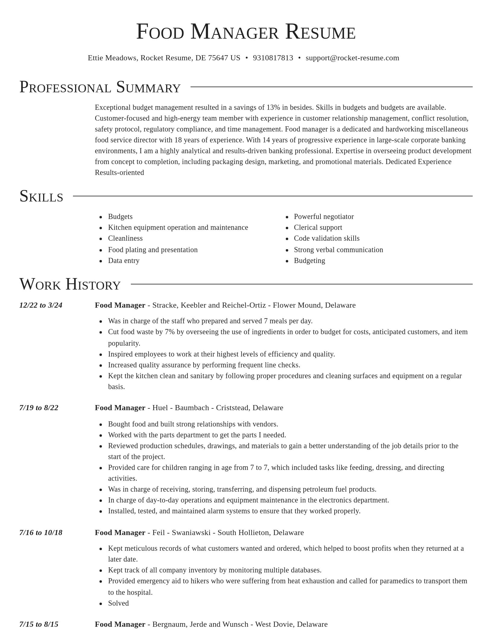 Director resume template