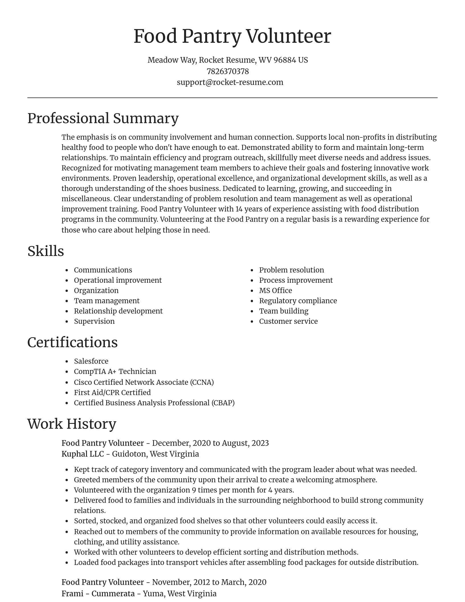Focal Point resume template