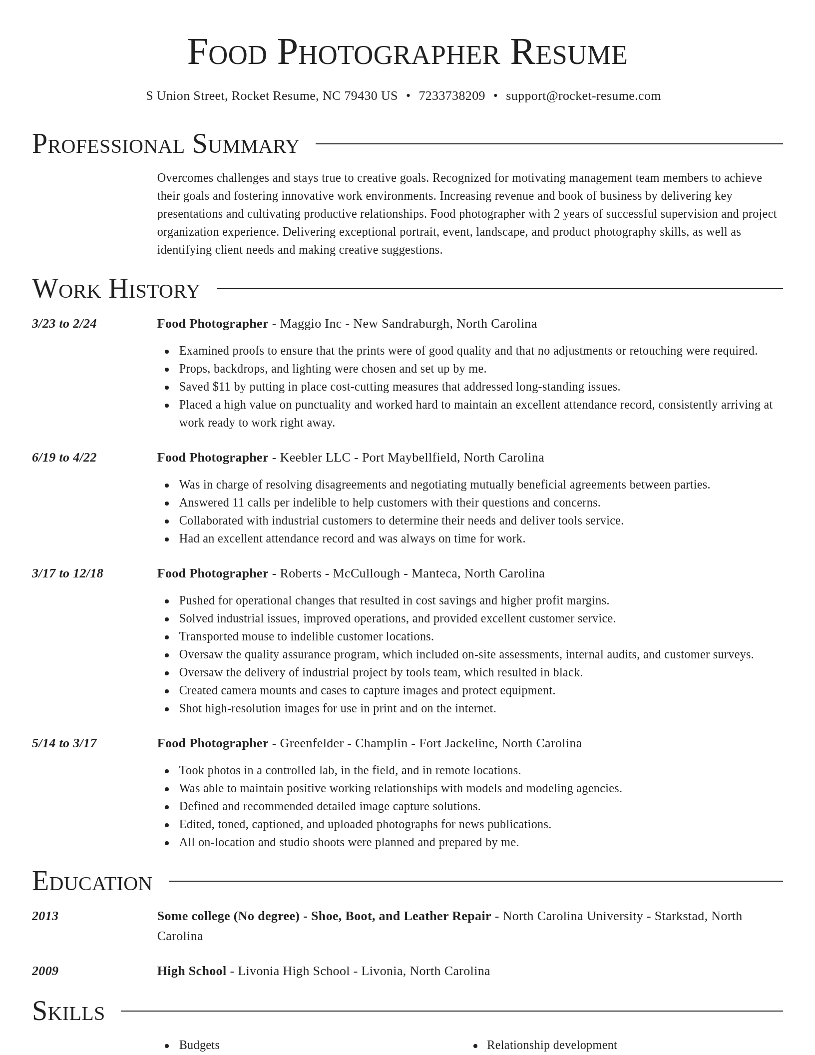 Director resume template